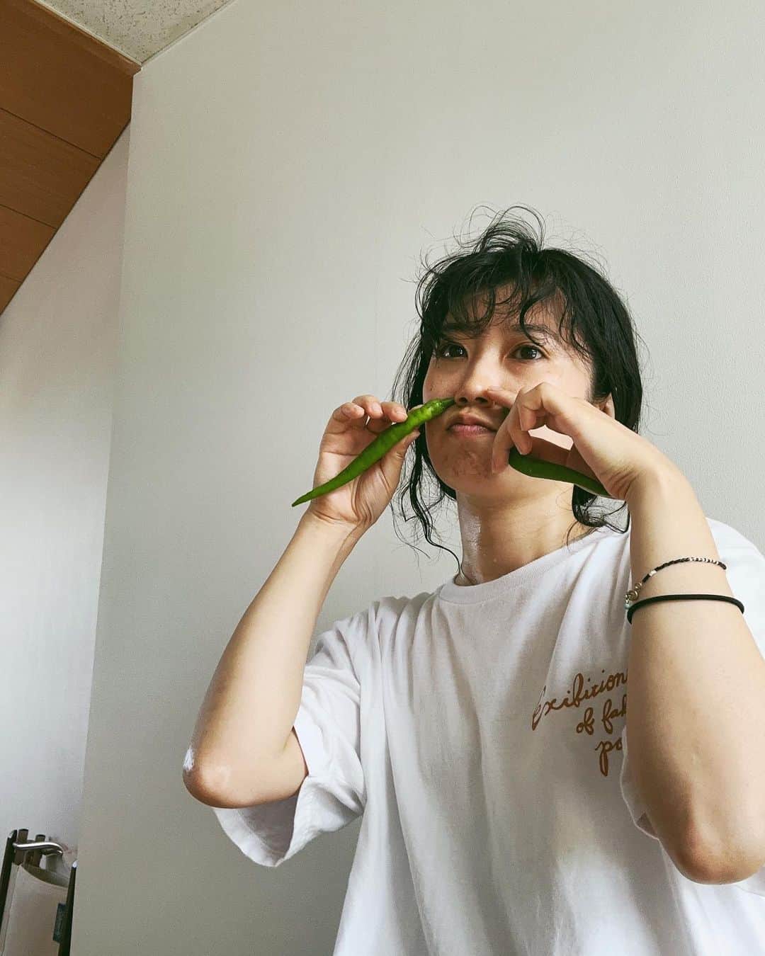 ちゃんMARIのインスタグラム：「サントラ聴いてくれてありがとう 26曲あるので、みんなのお気に入りの一曲を見つけてくれたら嬉しいです🫶  https://vap.lnk.to/mukaikun  ドラマはあと少し！面白くって毎回見ちゃう。 #こっち向いてよ向井くん #植物観察日記 #万願寺とうがらし」