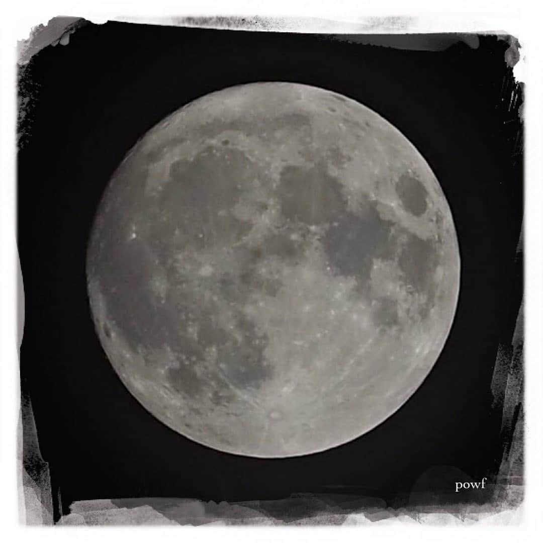 anemone_69のインスタグラム：「. . 今夜は朧月のようなので 昨夜の月を。 . . #ほぼ満月 🌕 . #DreamCanvas_powf . . .」