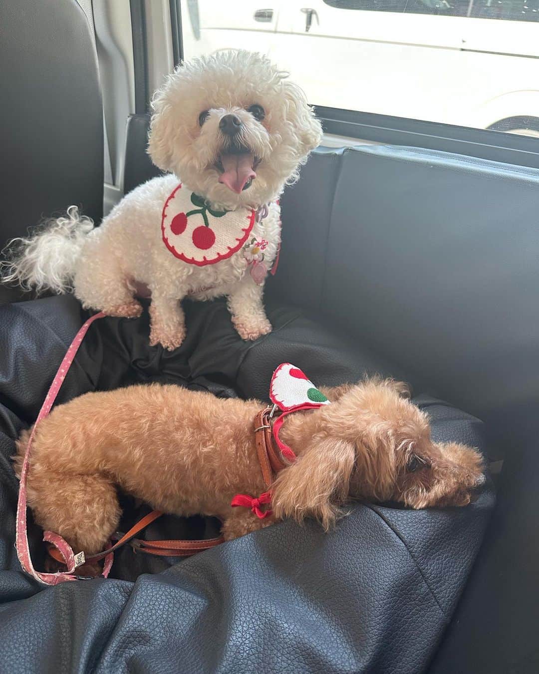 増澤璃凜子さんのインスタグラム写真 - (増澤璃凜子Instagram)「𝐺𝑂𝑂𝐷 𝐵𝑌𝐸 𝑀𝑌 𝑇𝑊𝐸𝑁𝑇𝐼𝐸𝑆 𝑆𝑈𝑀𝑀𝐸𝑅🩵 ⁡ 綺麗な海に沢山行って、 友達とも沢山楽しい思い出が出来た！ ⁡ 心残りな事は少しあるんだけども、 完璧に過ごせる事はなかなか難しいし、 それでもかなり楽しく過ごせたな！幸せだ🥰 ⁡ #goodbyeaugust」8月31日 22時27分 - ririkomasuzawa