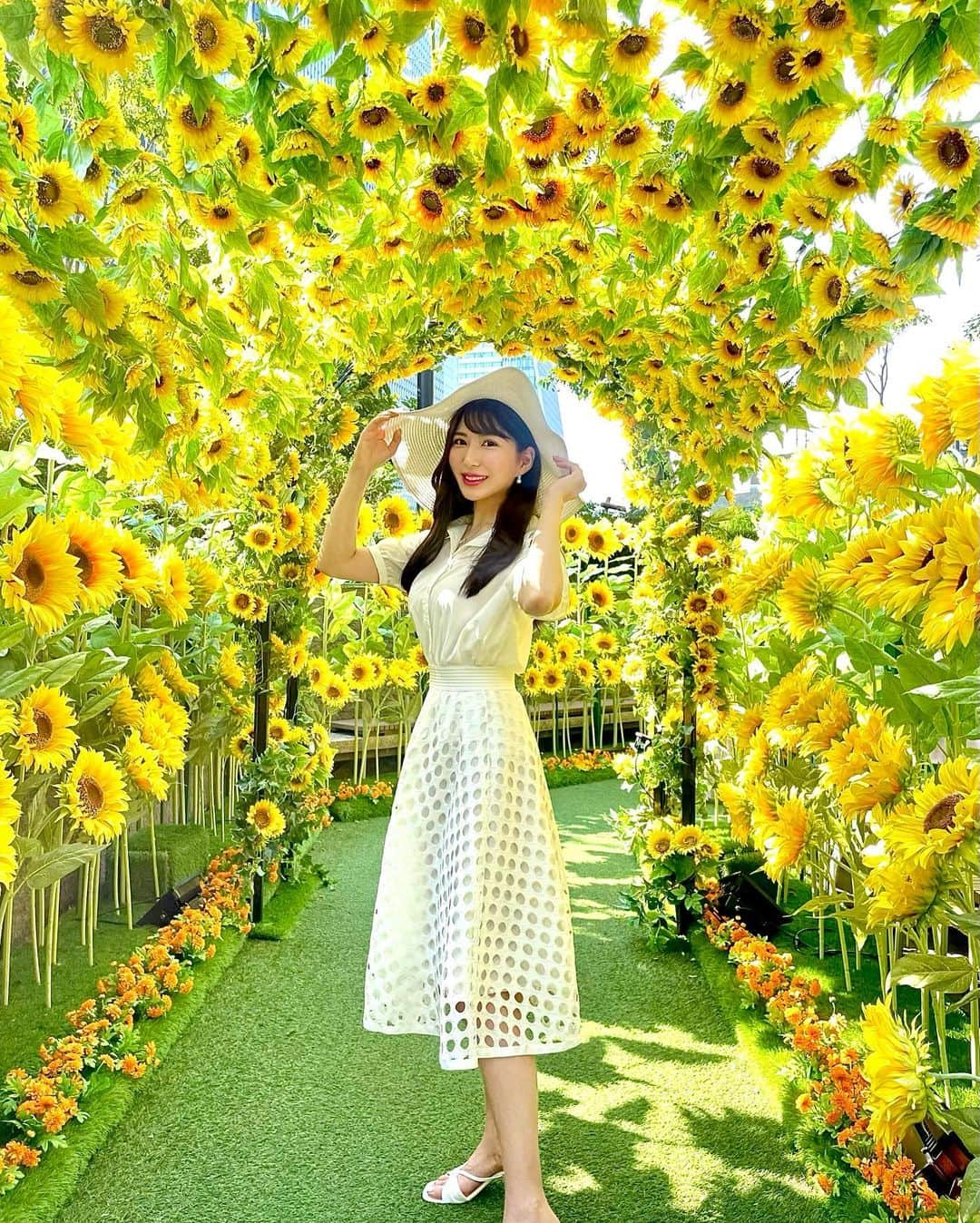 Manaさんのインスタグラム写真 - (ManaInstagram)「🌻夏の終わり🍃今日で8月も最後ですね🌕 9月になるといよいよ秋へ向かう気持ちになります😊 ⁡ 皆様、9月もよろしくお願いします♡ ⁡ ⁡ ⁡ 最近のひまわり畑〜✨✨ ⁡ いろんな花言葉があるなかでも向日葵は 「あなただけを見つめる」 という素敵な言葉を持っています🤍 ⁡ ⁡ 想いを寄せる方や お世話になった方に 感謝の気持ちを込めてひまわりを プレゼントするのもいいかも😚💕 ⁡ ⁡ ⁡ ⁡ ⁡ ⁡ #夏の思い出 #元気 #笑顔 #ひまわり #ひまわり畑 #向日葵 #花畑 #お花畑 #ヒマワリ #お花好き #夏コーデ #ホワイトコーデ #麦わら帽子 #スーパームーン #スーパーブルームーン #あなただけを見つめる #花言葉 #大名古屋ビルヂング #名古屋駅 #sunflower #sunflowers #summergarden」8月31日 22時44分 - mana.tcy