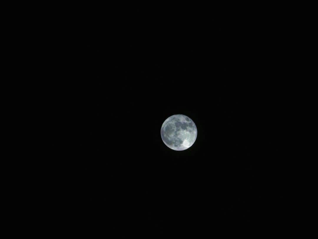 ウェイ・ルーシュエンのインスタグラム：「blue moon blue」