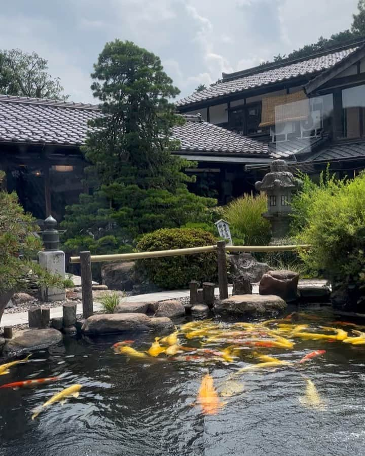 ヨーコのインスタグラム：「出雲そば🥢  こちらの八雲庵、実はずっと行ってみたかったお店。  今回は予約を入れていただきお邪魔することができました！ 素敵なお庭を見ながら4種類のお蕎麦を堪能😋  城下町の松江は日本三大和菓子処とお聞きして、お抹茶と生菓子もいただきました🍵  夜の本番に向けて心までも満たされたランチタイムでした🌈✨  ごちそうさまでした❣️  #しまねなつ旅  #島根 #夏 #八雲庵 #出雲そば #松江 #山陰」