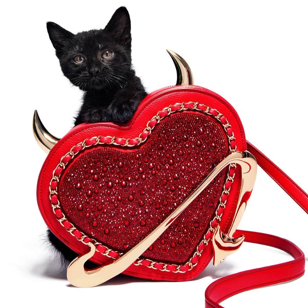 ベッツィジョンソンのインスタグラム：「Accessories with a little cattitude.」