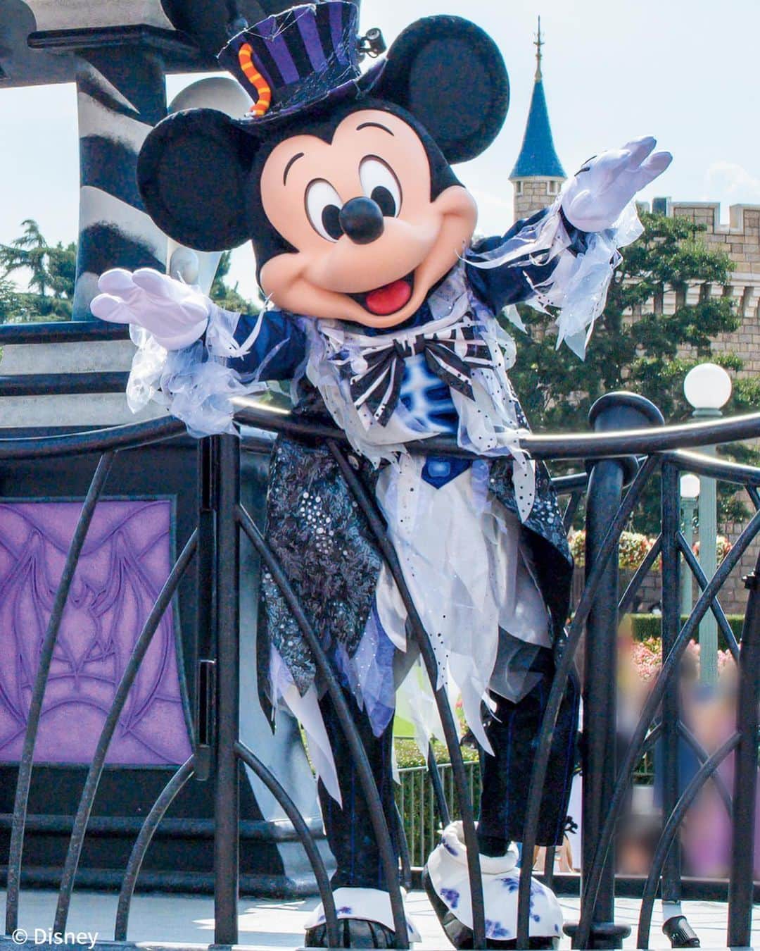 月刊ディズニーファン【公式】のインスタグラム：「#東京ディズニーランド #ディズニーハロウィーン のパレード「#スプーキー“BOO!”パレード 」に登場の#ミッキー たちの写真を紹介🎃👻 ※写真は過去のものです。   この写真は#ディズニーファン10月号 の#ポストカード になっているよ📮 パークで写真のキャラクターたちに会ったら、ポストカードにサイン✍️をもらうのもいいかも⁉️   #ディズニーファン10月号 に掲載の記事は、2023年8月9日時点の情報に基づいています。掲載した情報は、予告なく内容が変更、中止になる場合があります。  各情報の最新状況につきましては、誌面に掲載のお問い合わせ先にお問い合わせください。  東京ディズニーリゾートに関する情報は、 東京ディズニーリゾート・インフォメーションセンター 電話0570-00-8632　受付時間：10:00-15:00 （年中無休） （一部のIP電話・国際電話の方は045-330-5211）にお問い合わせください。  読者の皆様にはご迷惑をおかけいたしますが、何とぞご了承いただけますよう、お願い申し上げます。  #ディズニーファン #月刊ディズニーファン #disneyfan  #disney #ディズニー #tokyodisneyresort #tokyodisneyland #東京ディズニーリゾート  #スプーキーbooパレード#ハロウィーン #ミッキーマウス #ミニーマウス #ミニー#チップとデール」