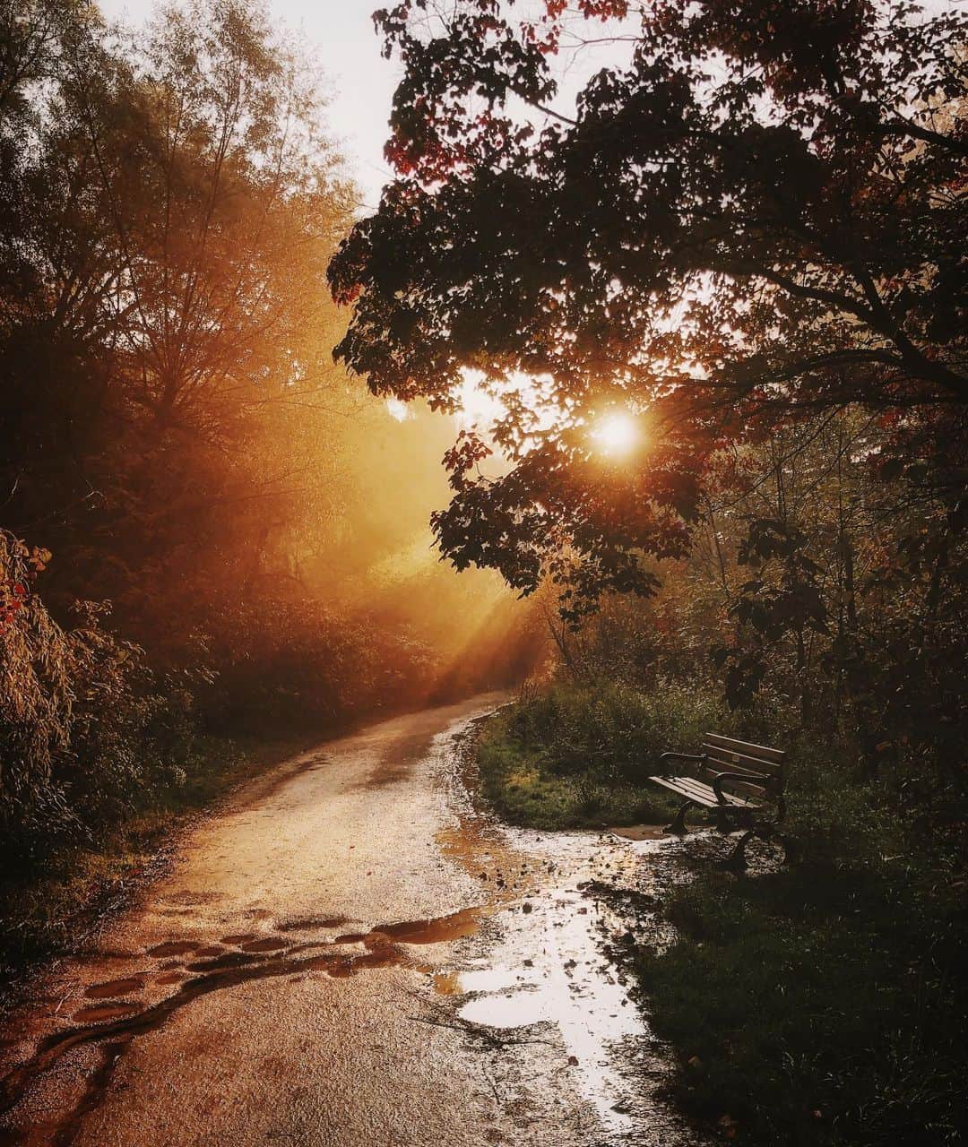 のインスタグラム：「Summer’s lease hath all too short a date. -William Shakespeare」