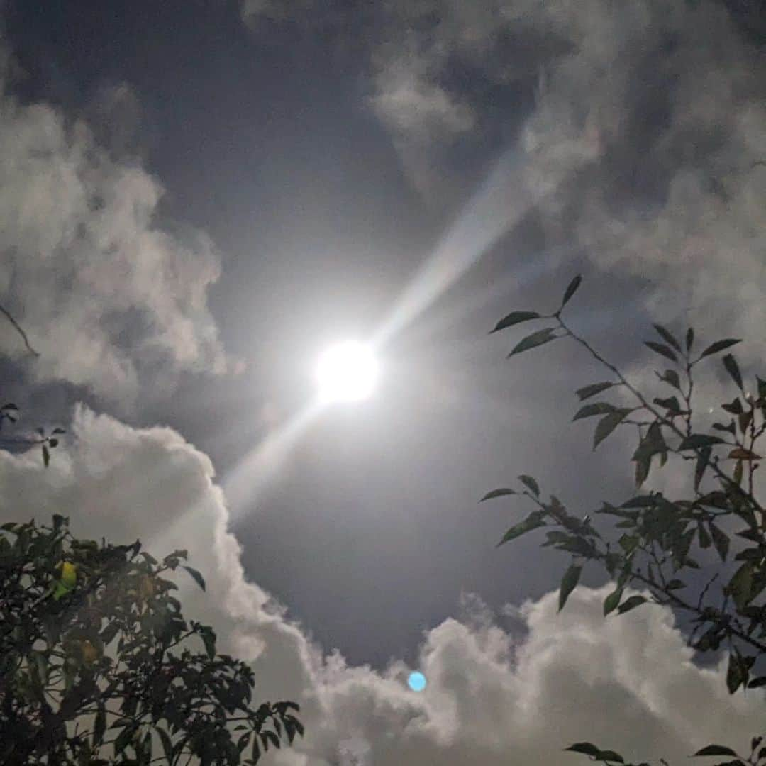 佐藤裕二さんのインスタグラム写真 - (佐藤裕二Instagram)「スーパーブルームーン🌕名古屋からは、よく見えます。 あしたの#ドデスカ で放送するかな？  #スーパーブルームーン #スーパームーン  #ブルームーン #満月#二度目の満月 　#メーテレ#アナウンサー #あしたもいい日」8月31日 23時48分 - karaage_satou