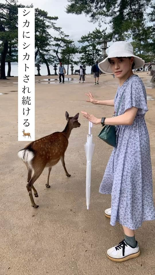 小板奈央美のインスタグラム