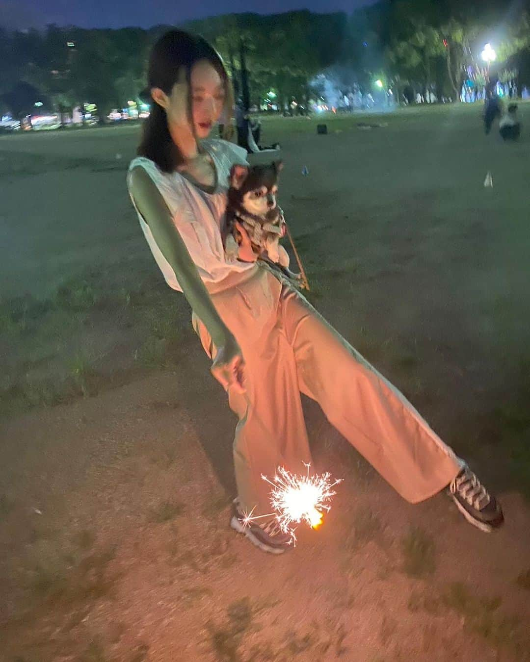 藤本冬香のインスタグラム：「夏楽しかったな☀️  メンバーと花火しました🎆 ぽぽさんも連れて🐕  秋🍂も楽しくすごしたいな  #8月  #なつのおもいで」