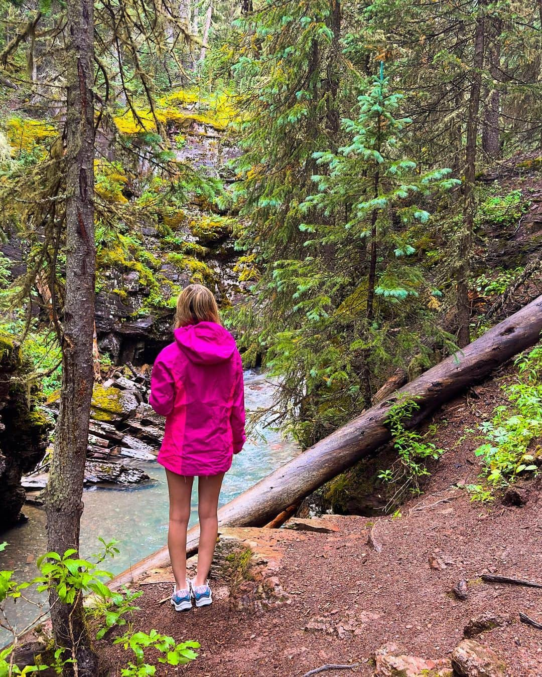 パイパー・ペリさんのインスタグラム写真 - (パイパー・ペリInstagram)「Never stop exploring 🌲 Swipe for a waterfall   @thenorthface」9月1日 0時11分 - piper_perri