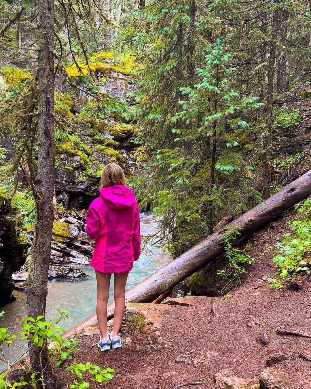パイパー・ペリのインスタグラム：「Never stop exploring 🌲 Swipe for a waterfall   @thenorthface」
