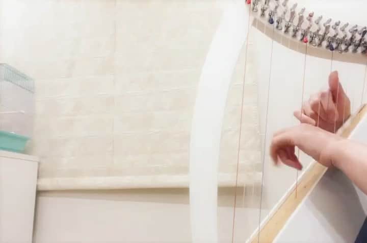 のインスタグラム：「#フェアリー弾き 🧚‍♂️🫧  My student plays for her bird.The miyabimethod "fairy style playing".  生徒さんが  鳥ちゃん🦜のために  #クリスハープ  を弾いてくれました💕  クリス教本上巻 #サリーガーデン  普段のレッスンでは自然風景をイメージした  サウンドスケープ弾き  をしてくれていたのだけど、  お酒を飲みながら夜🌙飼っている鳥ちゃんに愛を伝えたい気分になってフェアリー弾きに初チャレンジしました〜💕  と送ってくれた動画に感動✨「チュン♫」って鳥ちゃんもUターンの動きに合わせて歌ってくれていますね（最後の一音も息ピッタリ！）  フェアリー弾きは、  通常の弾きかたと呼吸が違うのです🧚‍♂️🫧  瞑想でつかうリラックスできる呼吸法を使っています。  （脳科学的に言うと、デフォルトモードネットワークという脳が眠っているときの状態に切り替わります）  そうすると、体の力が抜けて  頭のモヤモヤ😶‍🌫️やぐるぐるが止まって…  心のときめき✨や直感✨が  働きはじめます。  そうすると、頭の言葉にはアクセスできない動物たちの体感ほうに波長が合う音になるんですよね。  音の振動数が通常の弾きかたより大きくなって  「ふわ〜っとした浮遊感」🫧　  が生まれる音楽になるわけです。  この浮遊感（音の残響）を味わう練習が  心理学でいう #マインドフルネス  と呼ばれる自己受容のワークになるんですね。  頭は行動doing過去の後悔や未来の不安を考えてストレスになるけど💦  心はbeing今ここの瞬間の状態に幸せを感じる🍀  次の弦を探したり楽譜の音符を考えてるときって、  じつは今の音を聴けていないんです。  今ここの瞬間の響きに100%集中するためには、頭の考えをストップしないといけないんですね。  でも、頭の雑念ってなかなか無くならない…どうすれば？  っていう問題を解決するために  大切なたった1人の力を使うわけなんです✨  大切な存在を想うとき…  愛の力で心がときめくから  頭の不安や緊張から開放される。  フェアリー弾きは、  他者を想うことによって自我エゴから開放される  セラピストの表現技術なのですね💕  体験するのが難しいフェアリー弾きにチャレンジしてくださった生徒さんに、感謝をこめて🤍  @k_koyon.m  美しい空のお写真たくさん撮影してくださっています✨  フェアリー弾きを教えてくれた鳥ちゃん、  ありがとうございます🦜💕」