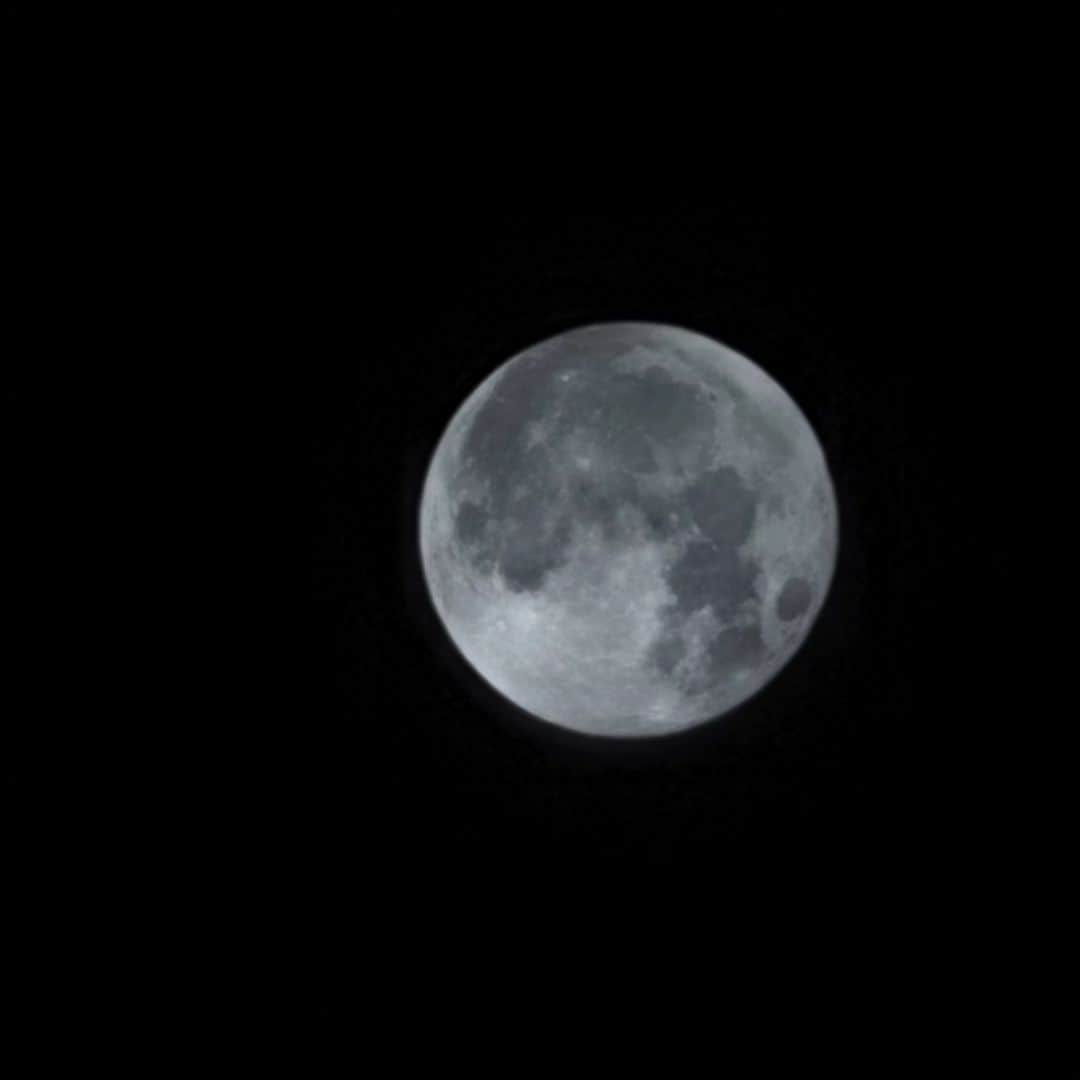 音無美紀子さんのインスタグラム写真 - (音無美紀子Instagram)「BLUE MOON、 私のスマホでも、こんなに綺麗に写ルンです。 ちょっとだけ、涼しい風を感じながら、暫く眺めておりました。 流れる雲に隠れたり、現れたり、ああ、なんて素敵なお月様。 #満月 #ブルームーン」9月1日 1時14分 - mikikootonashi