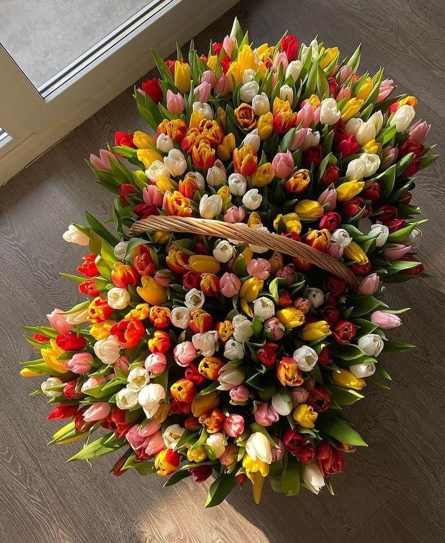 のインスタグラム：「basket full o' blooms ~ snap via @villanelle__s⁠」