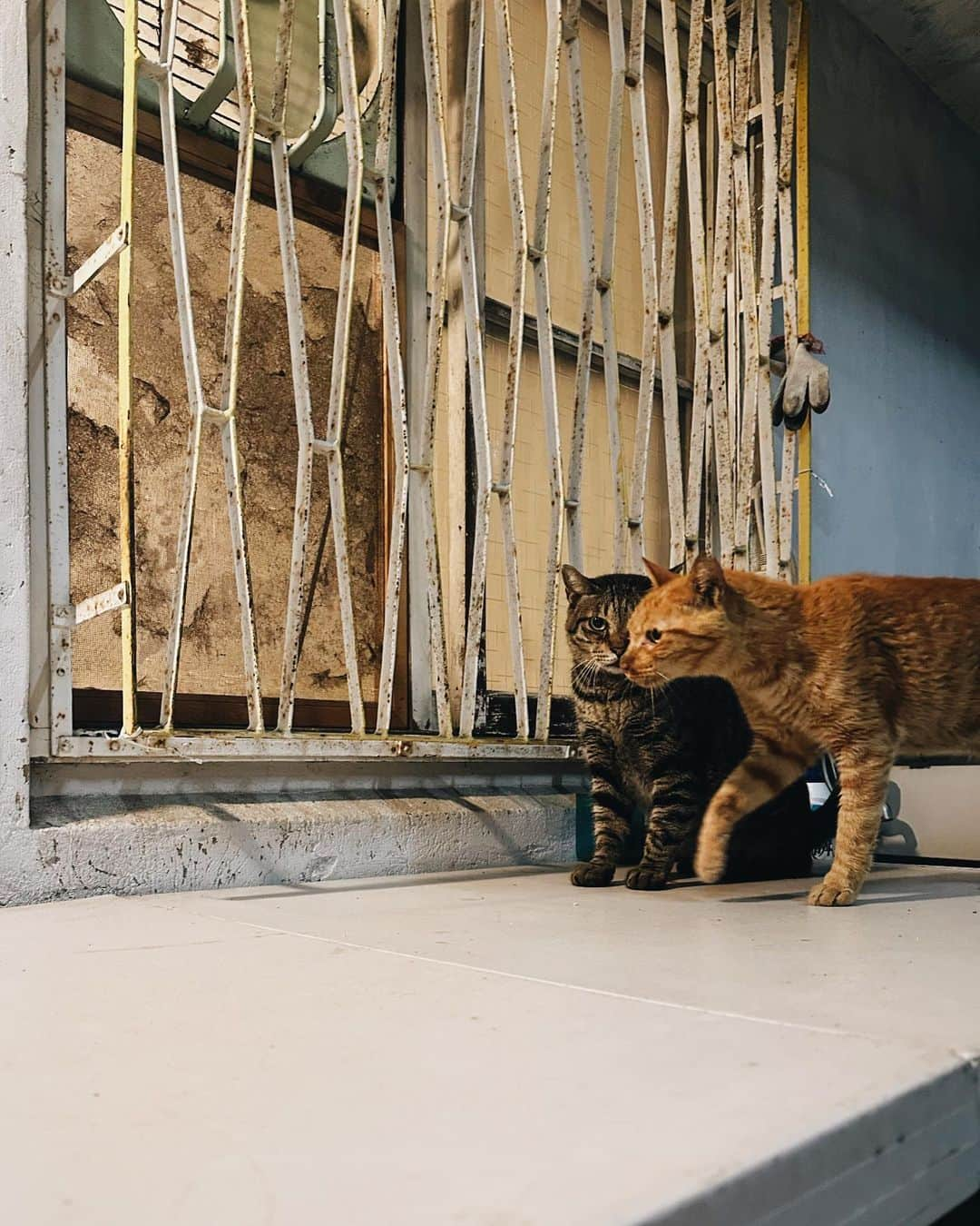 言身寸 in Tainan, Taiwanのインスタグラム