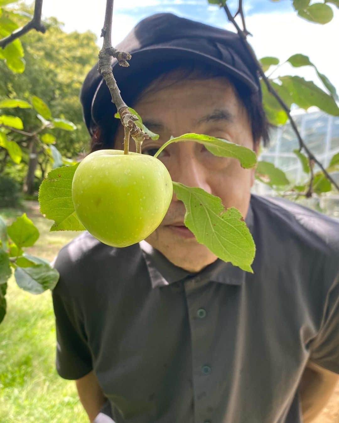 佐藤奈々子のインスタグラム：「小石川植物園にはNewtonの林檎の木の接木があります。そしてこの木の周りに “ Gravity suite “（引力）という名の組曲が流れます。上野耕路さん作曲、アレンジ、プログラミングの作品です。木の周りには、 数少なくなった蝉の声、秋の虫の音も聞こえます。 風の音も。 そんな自然の中で、まるで林檎が歌っているみたいに組曲が聞こえます。 歌は私。 9/1から9/3まで、”Sounding Garden of Koishikawa “ 小石川植物園内で10組のアーティストによるいろいろな音のインスタレーションが行われます。”小さな音”をぜひ聴きにいらしてください。面白いですよ。」