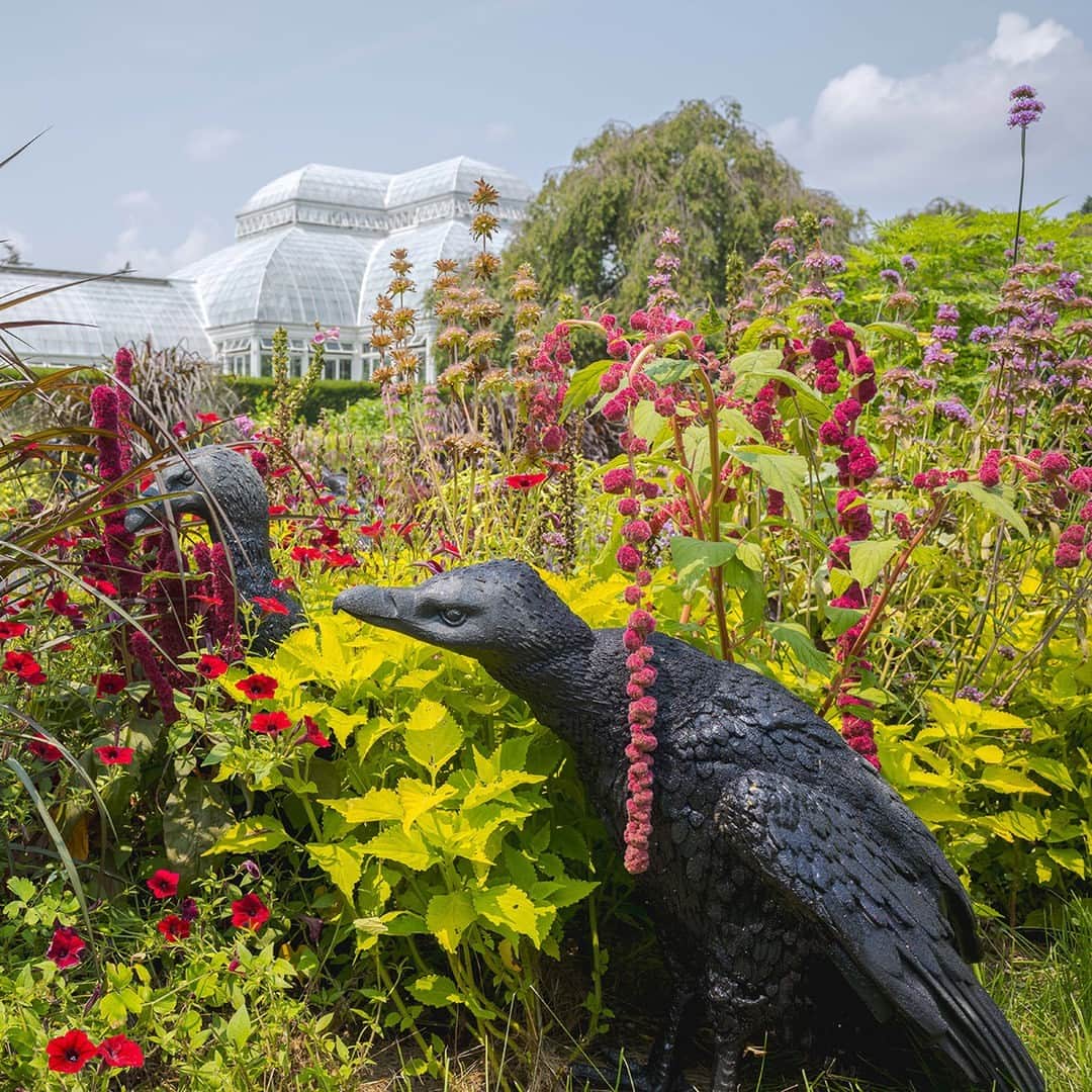 ニューヨーク植物園のインスタグラム：「If you haven’t seen “…things come to thrive…in the shedding…in the molting…" yet, don't miss it in late summer!   Indoors and out, the plantings for Ebony G. Patterson's momentous exhibition that were unveiled in spring have since thrived in the seasonal warmth, growing more lush and colorful as they live out their lifecycles in these ever-changing spaces. Hit the link in our bio to get your tickets now, and discover the beauty of gardens through the eyes of the artist—only at NYBG through October 22.   #EbonyGPattersonNYBG #EbonyGPatterson」