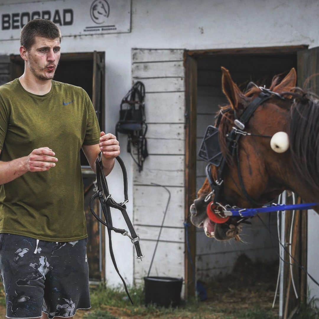 ニコラ・ヨキッチのインスタグラム：「Nikola Jokic's top two horses are racing this weekend in Pozarevac: Amy Del Duomo and Brenno Laumar are both scheduled to run in the second of two races on Sunday. They also ran against one another in Duzijanca 2023 in July. Another Jokic horse, Amsterdam JMH, races Saturday.  Source: HarrisonWind / Twitter  . . . #jokic #jokicnikola #joker #nikola #nikolajokic #denver #nuggets #denvernuggets #colorado #nba #basketball #serbia #usa #srbija #sombor #belgrade #beograd #mvp」