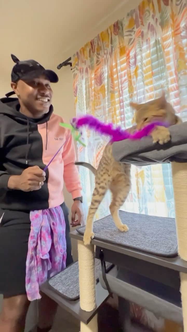 MSHO™(The Cat Rapper) のインスタグラム：「What’s up cat fam?! I’ve partnered with @zoetispetcare to remind everyone the importance of routine vet visits. I prioritize preventive care for all of my cat fam so I know that everyone is living their best life and staying happy and healthy! I know vet visits aren’t always easy, but Zoetis is working to help prep cat owners for those important check-ins. They’ve developed a checklist that can be used to prepare for these visits – whether it is a new, current or even emergency veterinarian. Coming prepared can help ease stress for everyone! Check out catvetvisit.com to download the checklist and prepare for routine vet visits today. Love you cat fam! #thisispetcare」