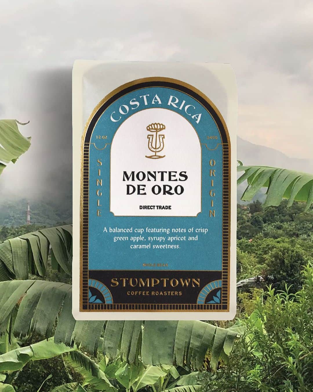 Stumptown Coffee Roastersのインスタグラム：「Located in Costa Rica's mountainous and lush Tarrazú region, Montes de Oro translates to Mountains of Gold, and when you take that first sip, you'll know why the name is so fitting. Every cup is rich in consistency, complexity, and flavor—with notes of crisp green apple, syrupy apricot, and caramel sweetness. 🍏✨   To say that we get excited when Montes de Oro returns to the menu would be an understatement. This impeccable coffee represents one of our longest-standing Direct Trade relationships dating back to 2006 when we became the Gamboa family's first customer. 🤝❤️」