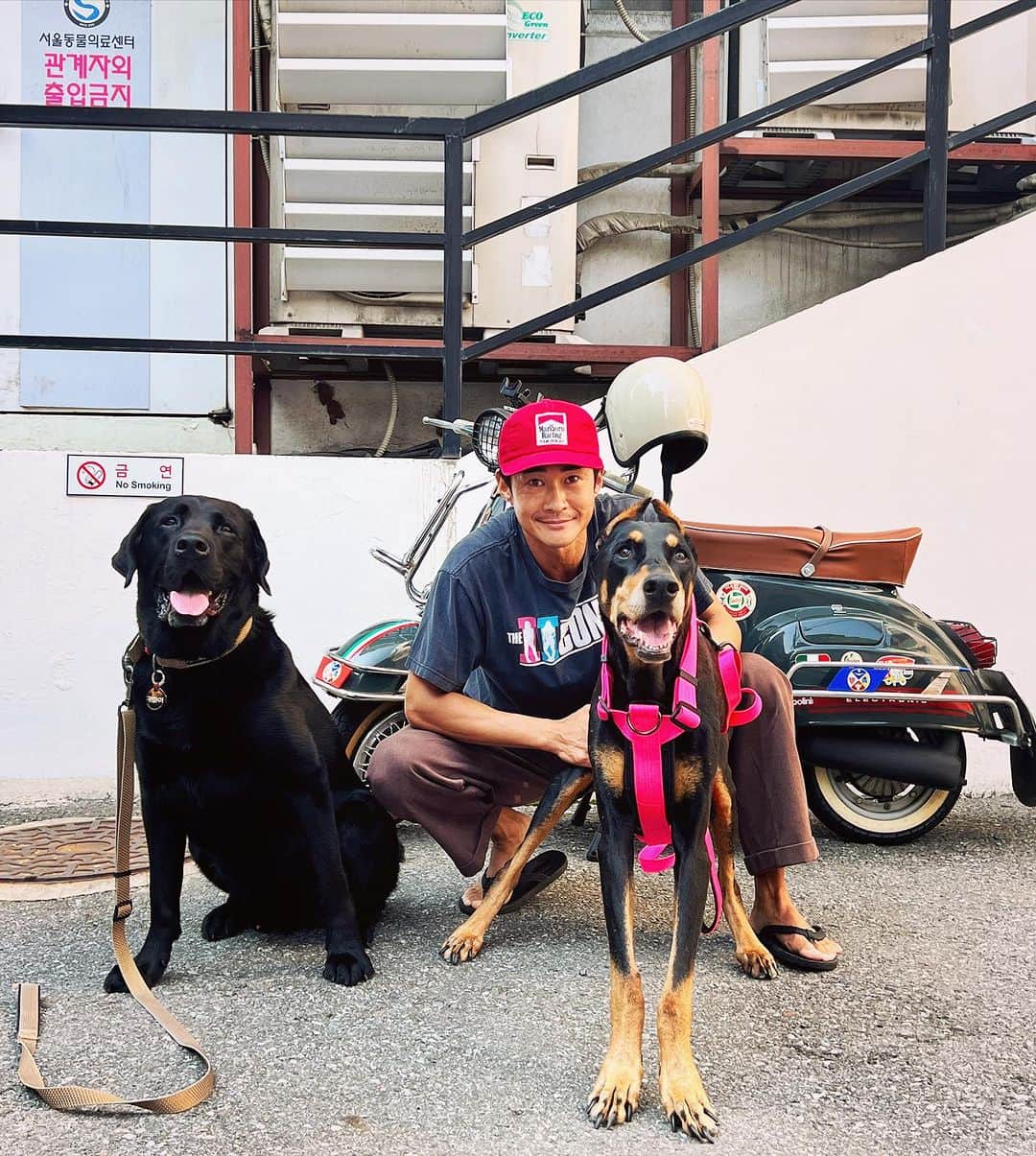 ペ・ジョンナムのインスタグラム：「카파이랑 함께 병원진료 🐶🐶🩷🩵🤍🏥👨‍⚕️🩺💉🩸🩸🩸 #서울동물의료센터 #양원장님」