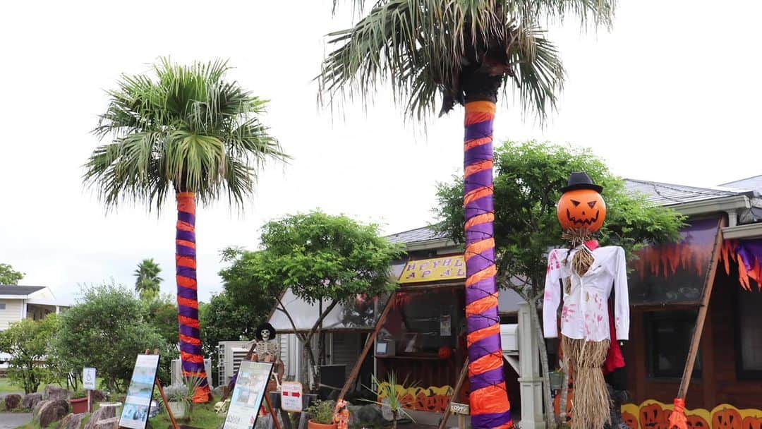 のインスタグラム：「9/15〜11/5はハロウィンパーティー🍭🍬 ジャック・オー・ランタン作り予約受付中! 本物の大きなカボチャを使ってオリジナルのジャック・オー・ランタン作りにチャレンジしよう!🎃  詳しくはコチラ→ https://www.everglades.jp/halloweencamp2023/  #伊勢志摩エバーグレイズ  #エバーグレイズ琵琶湖 #グランピング #エバキャン #三重県 #滋賀県  #グランピング #アメリカン #アウトドア #リゾート #キャンプ  #ファミリーキャンプ #ファミキャン #オートキャンプ #ハロウィン  #everglades #glamping #resort #camping #camp」