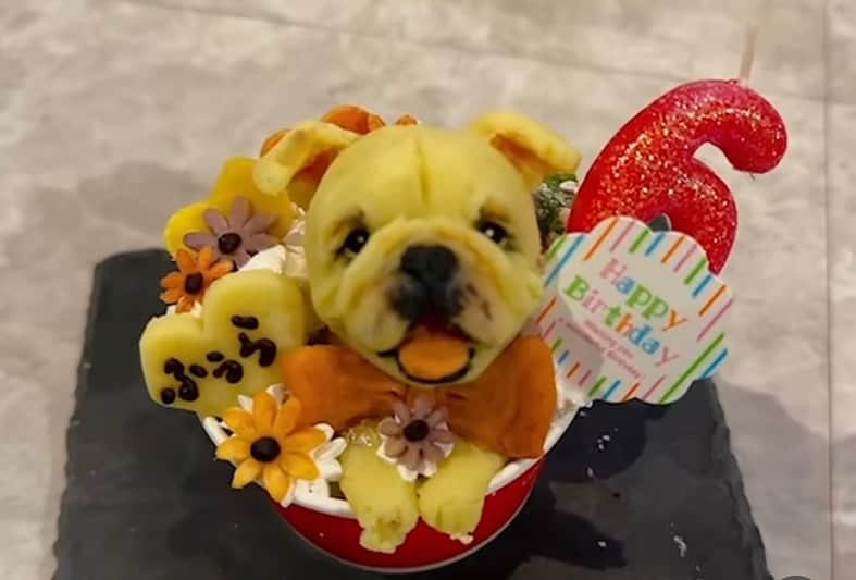 堀田祐美子のインスタグラム：「ふぅらのお誕生日ケーキ  自分の顔を今回はどのように食べるのかな？  @yumiko_hotta  @t_hearts2020  #堀田祐美子 #yumikohotta  #prowrestling  #プロレス #womansprowrestling  #女子プロレス  #hearts82 #thearts  #ブルドッグ #イングリッシュブルドッグ #ブルドッグふぅら  #ラ・キュ #la_queue  @yumiko_hotta  @t_hearts2020  #堀田祐美子 #yumikohotta  #prowrestling  #プロレス #womansprowrestling  #女子プロレス  #hearts82 #thearts  #ブルドッグ #イングリッシュブルドッグ #ブルドッグふぅら」