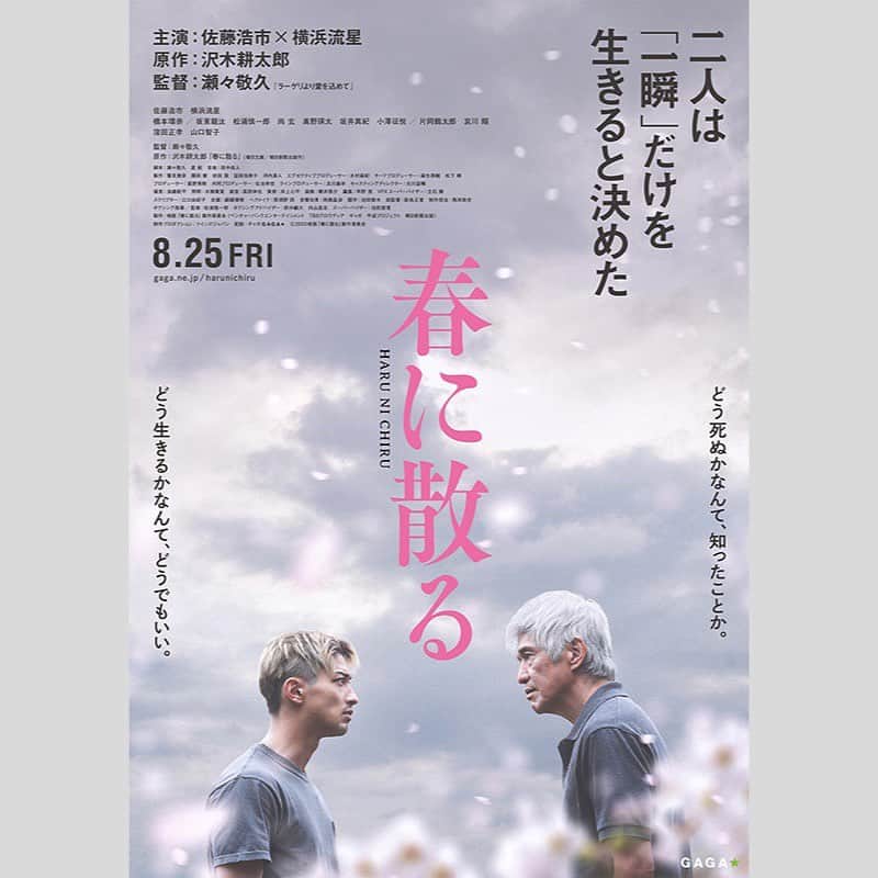 吉村民さんのインスタグラム写真 - (吉村民Instagram)「ラジオ日本SWEETの月曜日は 毎週、新作映画をご紹介してます。 8月21日(月)にご紹介したのは、 8 月 25 日(金)全国公開の映画『春に散る』  スタジオには瀬々敬久監督 がきてくださいました！  瀬々監督の作品は、 現実の厳しさを描きつつも、しっかり光を当ててくれる所がとても好きでなので、 お会い出来ることがとても嬉しくもありましたが、好きな分だけ、ドキドキでした。  【あらすじ】 不公平な判定で負けたことをきっかけに渡米し、40 年ぶりに帰国した 元ボクサーの広岡仁一。  そんな広岡の前に現れたのは、同じく不公平な判定負けで心が折れていた ボクサーの黒木翔吾。  とある出会いから、翔吾は広岡にボクシングを教えてほしいと懇願します。 最初は断る広岡でしたが、かつてのボクシング仲間の次郎と佐瀬に背中を押され 引き受けることに。 やがて、翔吾をチャンピオンにするという広岡の情熱は、 翔吾はもちろん、一度は夢を諦めた周りの人々を巻き込んでいきます。 果たして、それぞれが命をかけて始めた新たな人生の行方は——? というお話です。  私も観させていただきましたが... ボクシングを通して人生ついて考えさせられました。 長い人生をベースに考えることが大切なのか、その時の自分の気持ちを大切に生きる方が大切なのか。映画のお話と、私の考えが反対だった為に、 そういう考え方もあるのかぁ、という新たな発見もありました。  そして、とにかく、試合のシーンがすごい！表情や動きに圧倒されて心が熱くなりました。  原作は、ノンフィクション作家で小説家の沢木耕太郎さん。  瀬々監督は 沢木さんのノンフィクション「テロル決算」や「一瞬の夏」を10 代後半から 20 歳前後の頃に読み、強烈な印象を残していたのと、初めての小説ということで感慨深かったそうです。 今回の「春に散る」も“老い”と“若さ”の対比が かつてのノンフィクションと同じようにテーマになっていたので惹き込まれたそうです。 映画化にあたっては、「老い」と「若さ」の対比や、一瞬に賭ける。 そういうテーマを重要視しながらも、  単なるヒーローものにはならないように、沢木さんの作品にある「もの悲しさ」 みたいなものは常に意識しようされたそうです。  本作は佐藤浩市さんと横浜流星さんの W 主演。 佐藤浩市さんとは、何度かご一緒されているそうですが、 物事を真正面だけから見ない。いろんな角度から多角的にとらえようとする姿勢が  常々あるなと感じていたそうですが、今回演じた広岡仁一と似ているところがあり、それが発揮されているそうです。  そして、横浜流星さんは、映画「新聞記者」を観て普通の青年ぽいところが魅力的に感じ監督がオファーをされたそうですが、 実際にご一緒してみると、 役者としてとても柔軟性があって他者への共感性が高く、 俳優にとって一番重要な EQ(心の知能指数)が高いと思ったそうです。 更に、横浜流星さん演じる翔吾が戦う現チャンピオン・中西役の 窪田正孝さんも本当に素晴らしかったです。  そして、監督が特に印象深いシーンとして選ばれたのは、 最後の世界戦の前に、病室で浩市さんと流星さんが向かい合うシーン。 ボクシングのような動的なシーンが多い映画の中、まるで父と子のように感じることが できたエモーショナルなシーンになっています。 私もこのシーンで感動したのをしっかり覚えています。  瀬々敬久監督✖️佐藤浩市さん✖️横浜流星さんという 私が大好きな方が集まった作品だったので、 観る前から期待大大大でしたが、 その期待を上回る面白さと感動でした🥺  最後に、瀬々監督がこの映画に込めたの想いをお話してくださいました。 「最近、知り合いが亡くなることが多いのですが、そんな中、 映画に終わりが必ずあるように、人生にも必ず終わりがあります。 だからこそ、今を、この瞬間を、生きることの大切さを伝えたかった映画です。」  映画『春に散る』は、 8 月 25 日(金)より全国公開中です。  番組では、鑑賞券、ムビチケ、非売品グッズなどのプレゼントもお出ししています！是非聴いてください♡  #春に散る  #映画 #映画好き #映画好きと繋がりたい #映画鑑賞 #映画レビュー #映画館 #プレゼント #プレゼント企画」9月1日 8時19分 - yoshimuratami