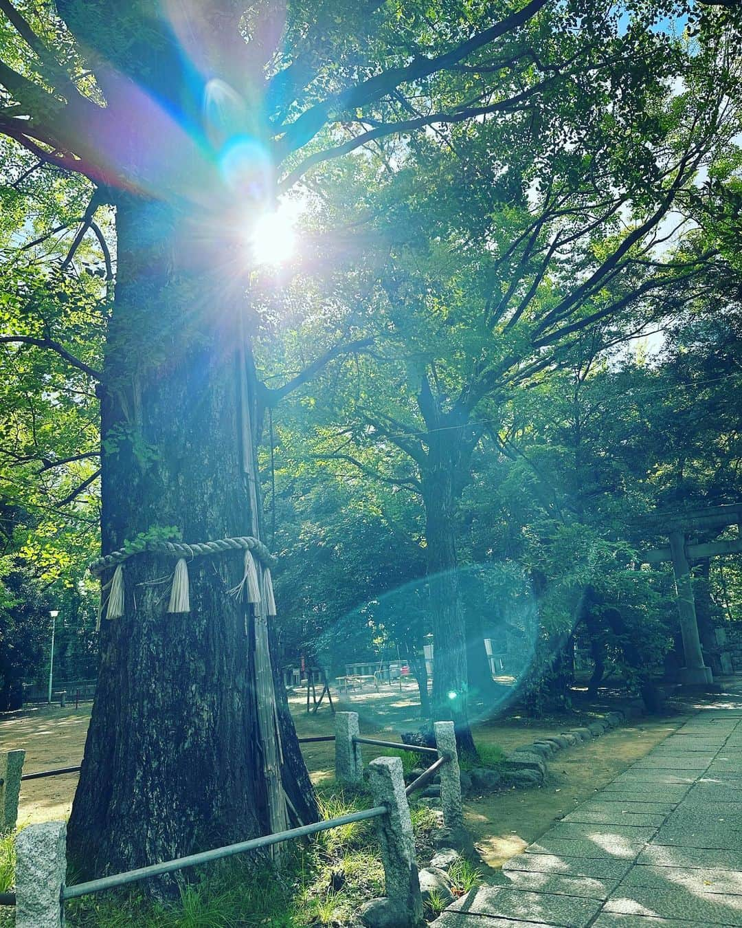 大草直子さんのインスタグラム写真 - (大草直子Instagram)「おはよ✨🧚  今日もたくさん笑う１日になりますように。 いってきます💚  #新学期スタート #親にとっても新学期 #いってらっしゃい #楽しんでおいで〜」9月1日 8時21分 - naokookusa