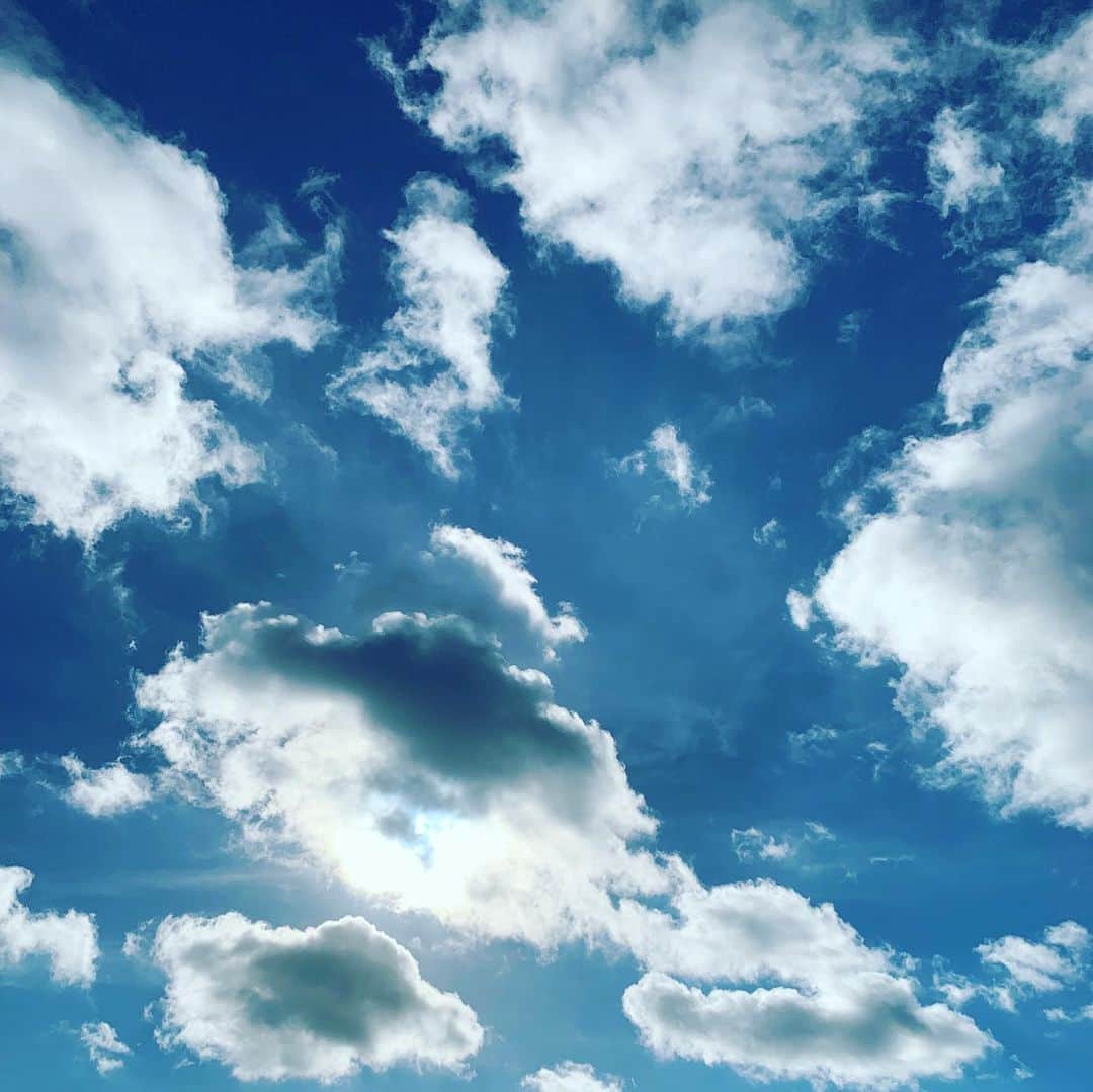 鈴木桃子さんのインスタグラム写真 - (鈴木桃子Instagram)「朝、木陰にいれば以前よりもちょっと涼しくなった気がしなくもないですが、まだまだ陽射しは強いですね😅  今日から9月🍁🍄  残暑厳しいですが今月も元気に過ごしましょうね〜😊  Good morning!🦆🦆🦆」9月1日 8時45分 - momokosuzuki
