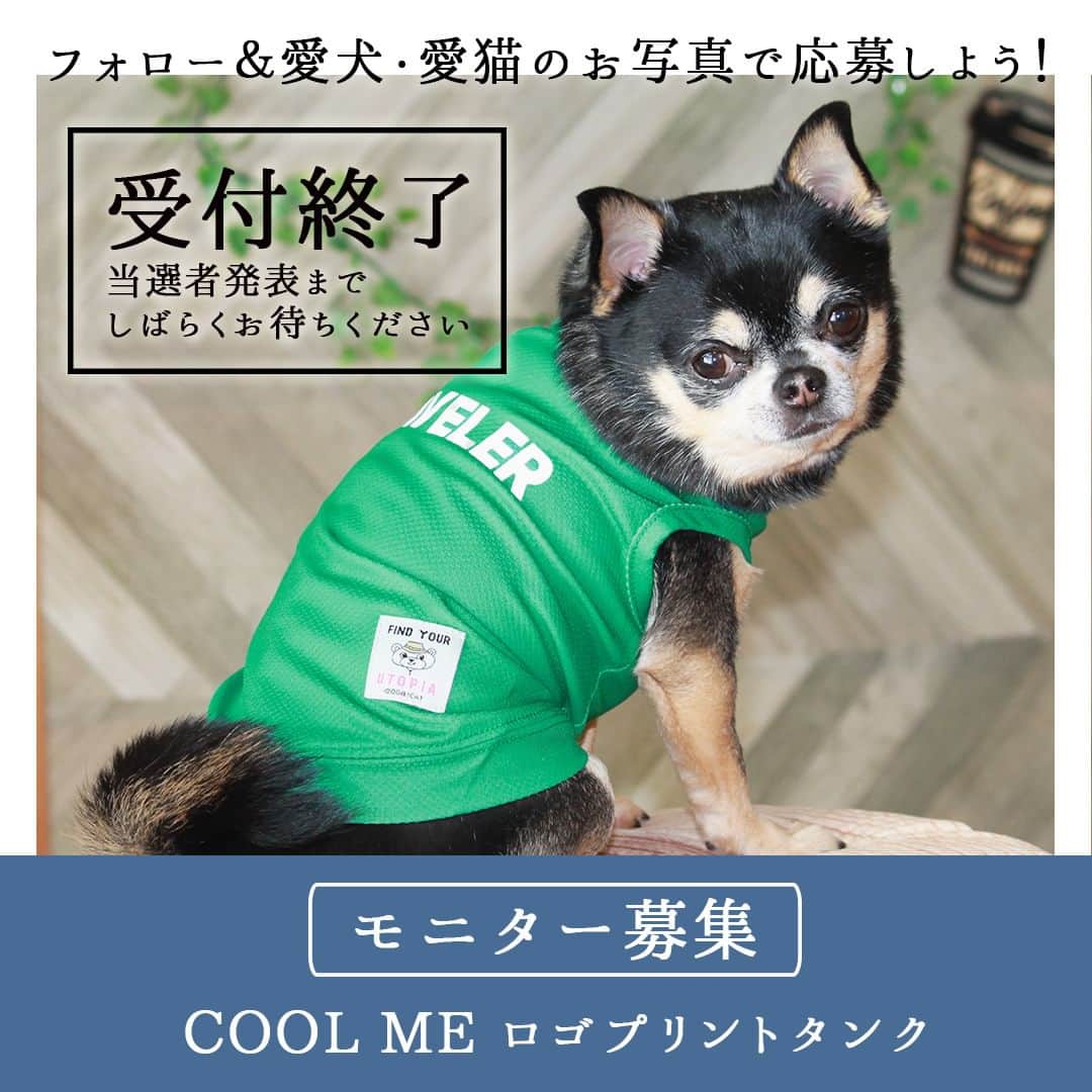 iDog&iCatさんのインスタグラム写真 - (iDog&iCatInstagram)「「COOL ME ロゴプリントタンク」のモニター応募は8/31に終了いたしました。 #iDogモニター応募2023COOLMEロゴプリント へのたくさんのご応募ありがとうございます。 これ以降のご応募は受け付けられませんのでご了承ください。  これよりエントリーいただいた皆様の投稿から、抽選を行います。 結果発表までの抽選期間中にアカウントを非公開にしたり、応募用の投稿を削除されるなど、ハッシュタグの中から投稿が消えてしまうと選考から除外されてしまいますのでお気をつけ下さい。  当選者発表までお楽しみに！  #IDOGICAT #ペット用品 #モニター募集 #iDogSNSモニター応募 #暑さ対策 #クールウェア #犬 #犬服 #お試し」9月1日 9時09分 - idogicat