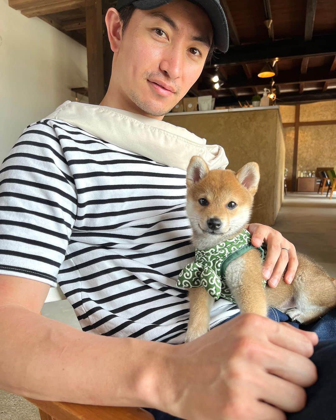 伊万里有のインスタグラム：「虎くん🐅 まいエンジェル👼  🐕 #柴犬　#豆柴 #犬 #小豆柴」
