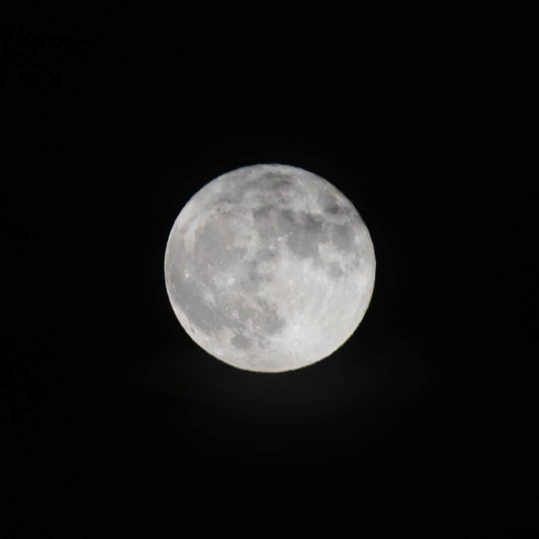 のインスタグラム：「【伊勢志摩エバーグレイズ】 昨日はスーパームーン＆ブルームーンでした🌕 スーパームーンとは地球から最も近い位置での満月を指し ブルームーンはその月の2度目の満月を指します!✨ スーパームーンとブルームーンが次回重なるのはなんと2029年3月30日だそうです!😳  #伊勢志摩エバーグレイズ #グランピング #エバキャン #グランピング #アメリカン #アウトドア #リゾート #キャンプ #三重県 #伊勢志摩 #志摩市 #三重旅行  #ファミリーキャンプ #ファミキャン #オートキャンプ #三重県キャンプ場 #犬とキャンプ #スーパームーン #ブルームーン  #everglades #glamping #resort #camping #camp #iseshima」