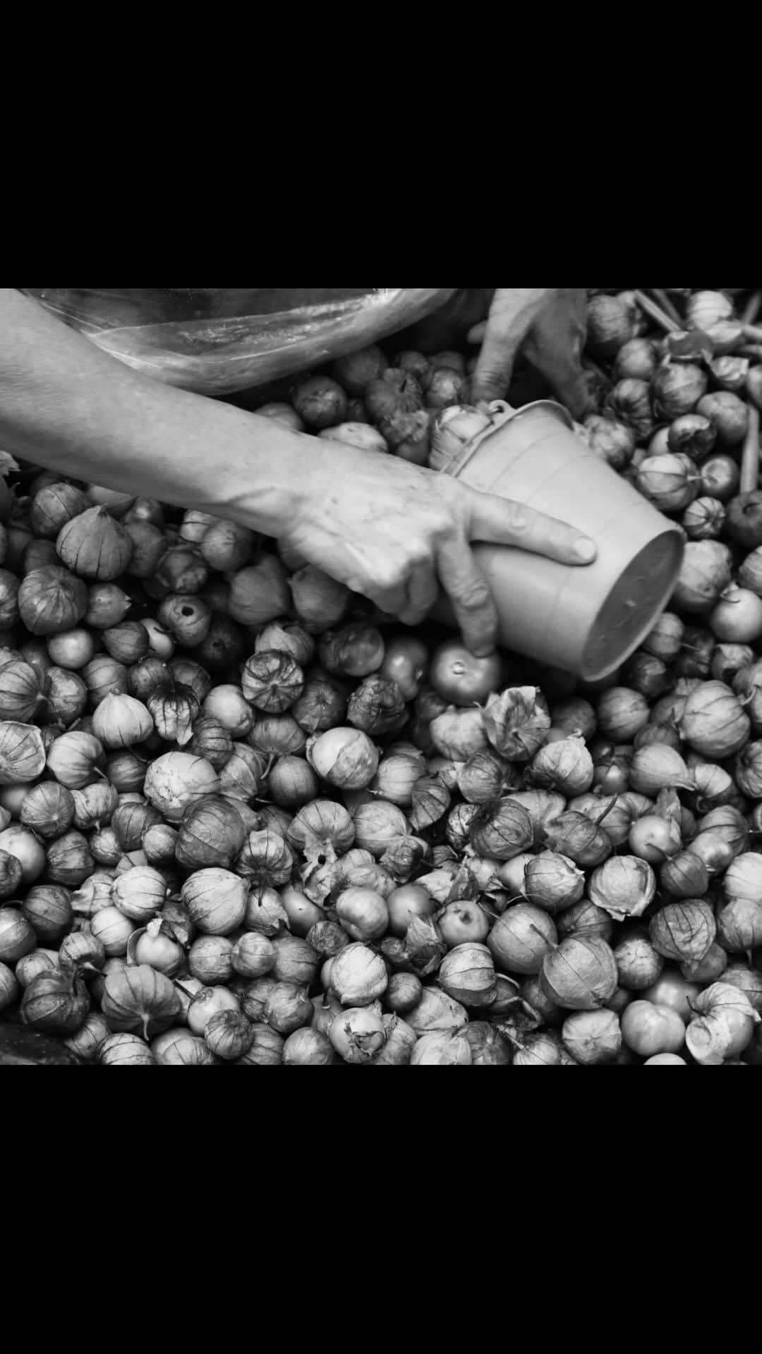 パワーハウスミュージアムのインスタグラム：「POWERHOUSE LATE X ORÍGENES  Thursday, 5–9pm. Free, register now.  Join us for an evening celebrating Latin American culture through food, performances, music and art.   Go on a culinary journey with Empanada Che’s handmade Argentinian empanadas. Newtown’s Mexican courtyard diner, Maíz Street Food will also be serving Latin dishes and cocktails on the evening, while Frido Cacao will be hosting cacao tastings which are sustainably and directly imported from local farmers and grown on agroforests in Mexico.   Learn more about Latin art and food by joining a panel moderated by Ivan Muñiz Reed with artists Nadia Hernández and Claudia Nicholson. Enjoy screenings of shorts curated by Nicholson and visuals by Hernández.  Watch how Afro-Brazilian martial arts music, dance and acrobatics come together in a capoeira performance by  Capoeira Topazio Australia or learn new moves in a workshop it is hosting. DJ Oroana will be playing Latin tunes throughout the night.  This initiative is proudly supported by the NSW Government through the Culture Up Late Program.  #CultureUpLate #Cul2023  Image: Maíz Street Food」