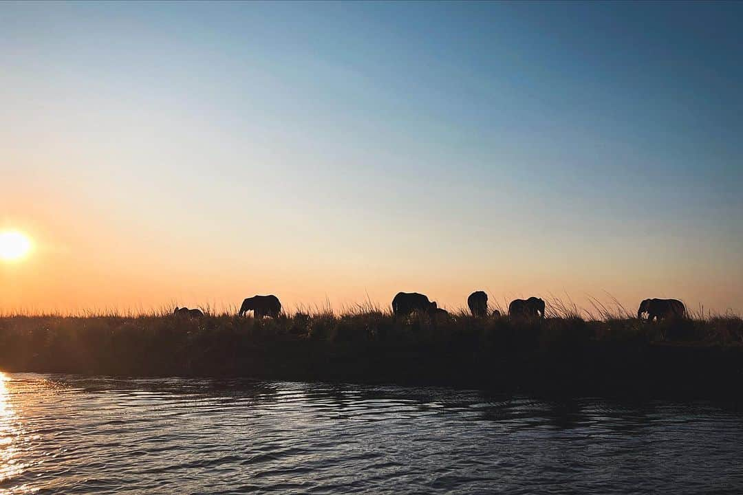 冨永愛のインスタグラム：「⁡ #grandnature #Botswana ⁡」