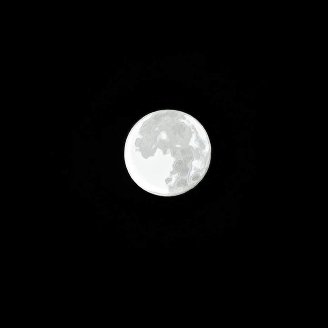 JILLのインスタグラム：「8月最後の🌕スーパームーン🌕 iPhone14promaxで撮影🤳  陽は沈み 月となり 朝が来て 陽となり また昇る  東京駅から見た夕陽も綺麗だったぁ🌇  #supermoon2023 #スーパームーン #満月 ———————————— #09月09日新宿高島屋 #09月30日billboardlive横浜 #10月03日billboardlive大阪 #10月29日REDROCKS #11月03日西条市ストーンハンマー #11月04日西条市こけら落とし  ———————————— #jillpersonz  #personz  #youtubepersonzチャンネル #note  #jillpersonz  #エアプレ #JILLプレ #ラジオ高崎 #三味線jill屋」