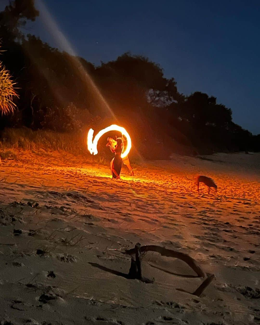 ルーク・ヘムズワースさんのインスタグラム写真 - (ルーク・ヘムズワースInstagram)「On my A game last night. Managed to capture the clearest picture of the blue super moon ever taken and Dick and balls drawn in fire….you’re welcome」9月1日 11時09分 - hemsworthluke