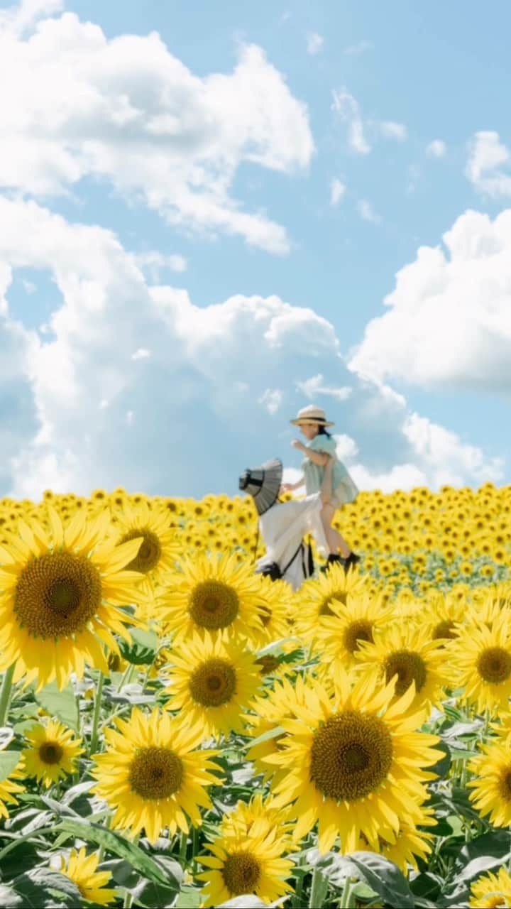 藤田可菜のインスタグラム：「@fujikana_photo   高い高いに もう限界を感じてきた 2023年夏。  まだできる今を大切に。  #🌻 location / #蒜山」