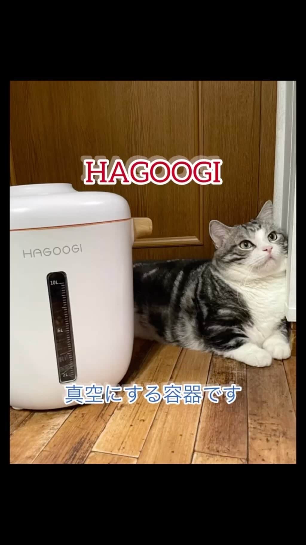 kamunaのインスタグラム：「こちらHAGOOGI(ハゴオギ)  @hagoogi_official さまの 真空保存容器 10L です！ クーポンコードを発行していただきました。 こちらのコードは公式サイトでのみ有効です！‼️ 1,400円引きのクーポンコード：【HAGOOGI-01】 ※このクーポンは真空フードストッカーのみご利用いただけます。  紹介するの二度目！使ってよかった私のおすすめです。9/10までセールされてます❣️  常温保存できる食材を入れてボタンを押すだけで容器内の空気を抜き真空状態になります。 空間中の酸素と湿気を脱気して、酸化や細菌の増殖を抑えて鮮度長持ち！密閉状態になるので、虫の侵入も防ぎます！ 「防虫剤不要•除湿剤不要」 ポンとボタンを一度下げるだけで脱気完了。音も静かです。充電式で置き場所も選びません。10リットルも入るから様々なものを保存できて真空になるから匂い移りや匂い漏れもないので普段私はキャットフードとコーヒー豆を入れています。 キャットフードは袋を開けたばかりの香りが長続きするみたいで食いつきが変わらないです。 コーヒー豆も大袋を買ってもずっといい香りが続きますよ🤎  #米びつ #梅雨対策 #フードストッカー #おしゃれ #ドッグフード #保存 #犬 #猫 #ペットフード保存 #酸化防止#pr#私がしたくてPR」
