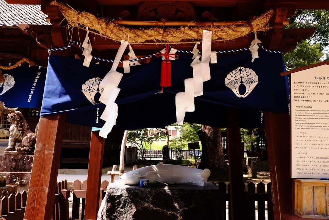 真奈のインスタグラム：「豊玉姫神社⛩️美肌祈願🙏  白ナマズすりすりしてきました。 御朱印集めも最近載せてないけど 5冊目に突入📕♡︎  #豊玉姫神社 #佐賀旅」