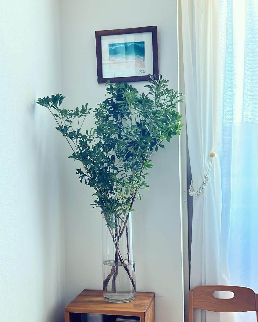 河中あいのインスタグラム：「引っ越しして来て早1年2ヶ月🏠 場所的に近くに元々仲良い友達は住んでないけど皆遊びに来てくれるから嬉しい♡  そろそろ我が家にもシンボルツリー的な存在感ある木を買いに行きましょう♡ 植物にさほど詳しくないのでこういうのは夫任せ🪴  #観葉植物」
