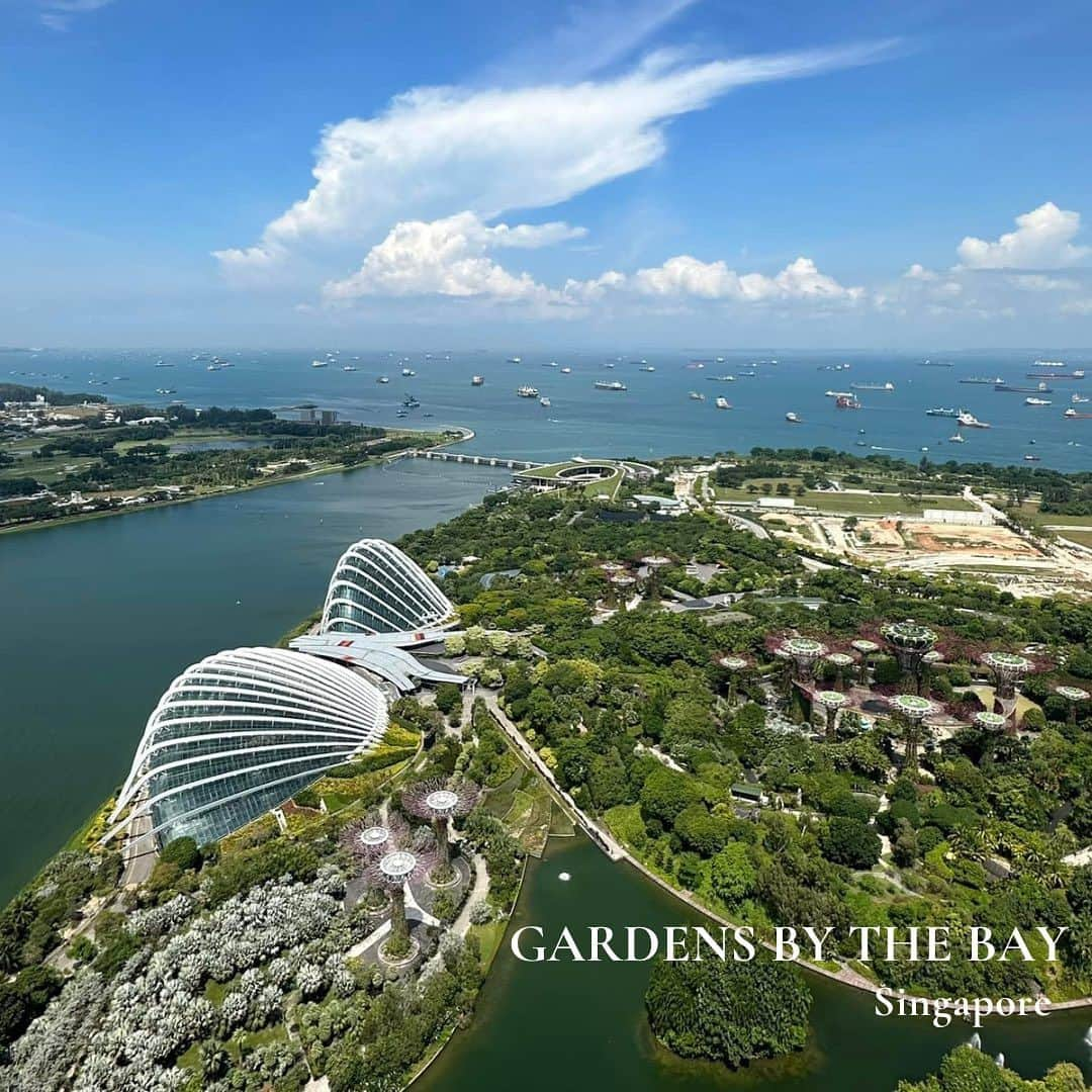 タイ航空のインスタグラム：「Lost in the lush beauty of Gardens by the Bay 🌿✨ Exploring the enchanting blend of nature and cityscape, where stunning waterfront views take center stage. Your adventure awaits!  ✈️ Fly with THAI to Singapore round trip for just THB 10,690 in economy class. Ready to take off? Book your tickets now at thaiairways.com or simply tap the link in our bio.   #thaiairways #smoothassilk #singapore #FlyTHAItoSG #WanderlustAdventures #SpecialDeal #GardensByTheBay #SingaporeSerenity」