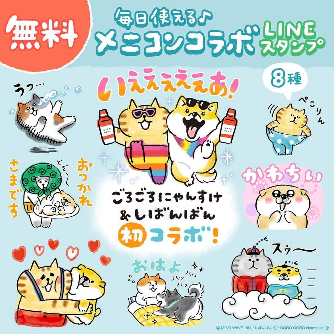 オオゴシヤステルのインスタグラム：「🌈コラボLINEスタンプ情報🌈  『毎日使える♪メニコンコラボLINEスタンプ』 新商品「エピカスマートクリーン」の発売を記念して、#ごろごろにゃんすけ＆#しばんばん とコラボした記念スタンプが登場！ゆるく可愛く全8種！ メニコン公式アカウントと友だちになるともらえる♪  ●DL期間：2023/11/23まで ●有効期間:180日  ▶️ https://line.me/S/sticker/28844  ダウンロードページには ストーリーズ、ハイライト「LINE」から✈️  #LINE #lineスタンプ #メニコン #エピカスマートクリーン #マインドウェイブ #mindwave #しばんばん #shibanban #むちころばんばん #muchicorobanban #オオゴシヤステル #柴犬 #しばいぬ #shibainu #ごろごろにゃんすけ #gorogoronyansuke #猫 #cat」