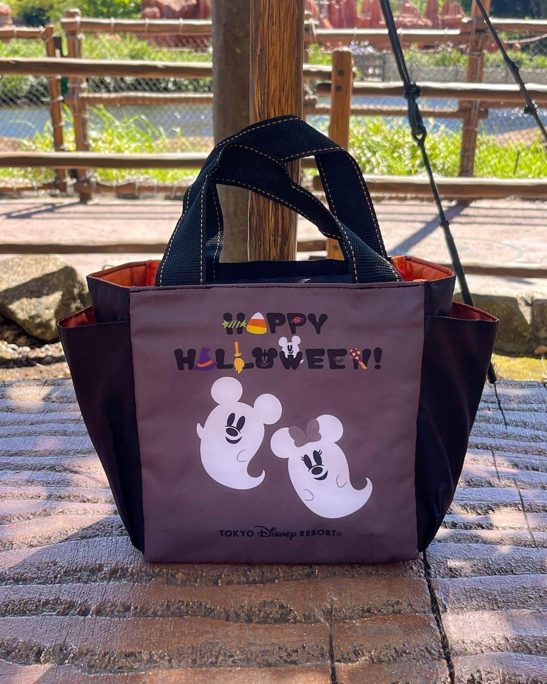 Hatamaさんのインスタグラム写真 - (HatamaInstagram)「＊  ＊  9月1日より、ディズニー・ハロウィーンフードの先行販売がスタート⭐️  今年も、おばけミッキーたちのスーベニアが登場しています👻  私も、早速新作をGETしました💛  どれもお土産にぴったり！  ポップコーンバケットあたりは、あとで詳しくレポしますね〜😁  .  ☑︎スウィートポテトクレープ、スーベニアカップ付き 1100円  ☑︎ カシス＆チョコムース、スーベニアカップ付き 1100円  ☑︎グミキャンディ、ミニスナックケース付き 1200円  ☑︎ポップコーン、バケット付き3200円  ☑︎スーベニアランチケース 対象メニューに＋1250円  .  #tokyodisneyresort #tokyodisneyland #disneygram #disneylove #disney #東京ディズニーリゾート #ディズニー #ディズニー女子 #ディズニーハロウィーン #ポップコーンバケット #ディズニーハロウィーン #ディズニーハロウィーン2023 #スーベニアランチケース #東京ディズニーリゾートフォトガイド_フォトコン」9月1日 12時53分 - hatama_1118