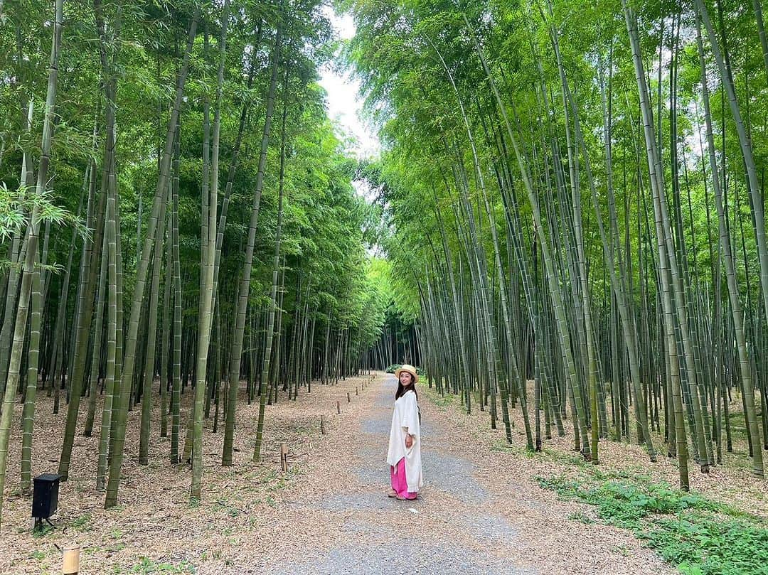 藤代有希のインスタグラム：「9月start🌿  ゆっくり呼吸して ひと息つきながら過ごそうと思います。  今年は秋🍂がないなんて言われてるけど、朝晩の涼しさや草木など自然が秋をお知らせしてくれてる。  小さな秋を見つけられるよう心を広く柔らかくして過ごしたいですね♡  #藤代有希 #ユキ #yoga #ヨガ #ヨーガ #meditation #瞑想 #メディテーション #マインドフルネス #いま #ありのまま #ヨガインストラクター #ボディバランストレーナー  #qvcジャパン #商品アドバイザー #健やかに #しなやかに  #ブーサング #横浜 #元町ヨガ  # #オンラインレッスン #オンラインヨガ #プライベートレッスン」