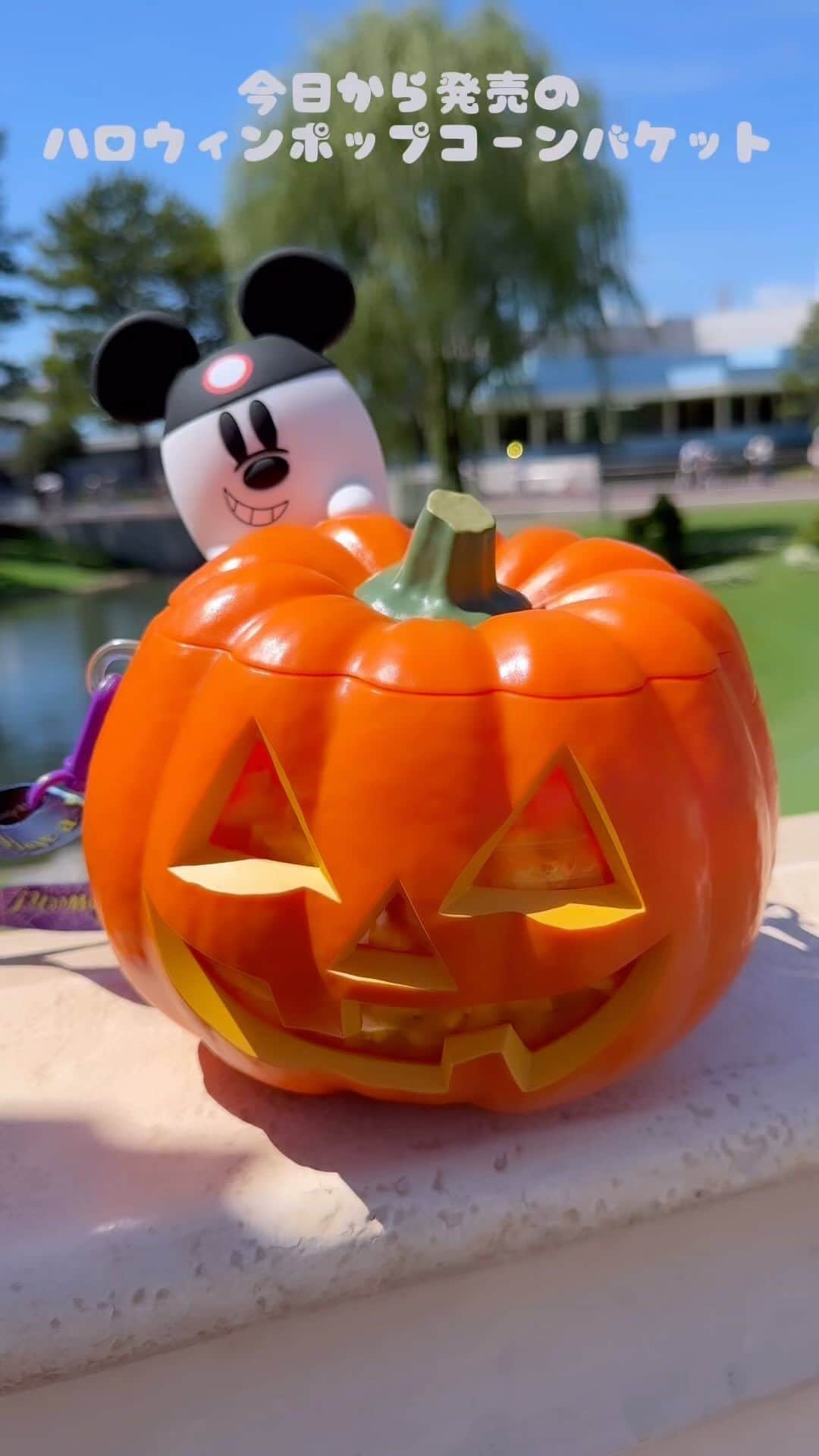 ひなたろす（佐原ひなた）のインスタグラム：「ディズニーランドなうー🫶🎃 今日から発売のハロウィンポップコーンバケット ゲットしたよ👻🫶　おばけミッキーがちょこんといて ぷにぷにするの🎃  ライトもつくから夜持ち歩くと 光っててかわいいいい❤️💡  3200円です🎃  販売店舗 ディズニーランド 📍ザ・ガゼーボ横ワゴン 📍ポップ・ア・ロット・ポップコーン 　キャラメル味 📍トレーディングポスト横 　カレー味 📍トレジャーコメット横 　ソルト味  ディズニーシー 📍リドアイル前 　キャラメル味 📍ソアリン前 　ブラックペッパー 📍ドッグサイドステージ前 　ガーリックシュリンプ  #ポップコーンバケット #ディズニー #disneyland #ディズニーシー #ディズニーランド #ディズニーグッズ #ハロウィン #ハロウィンディズニー #ディズニーハロウィン #halloween #halloweendisney #disneyhalloween #ポップコーン」