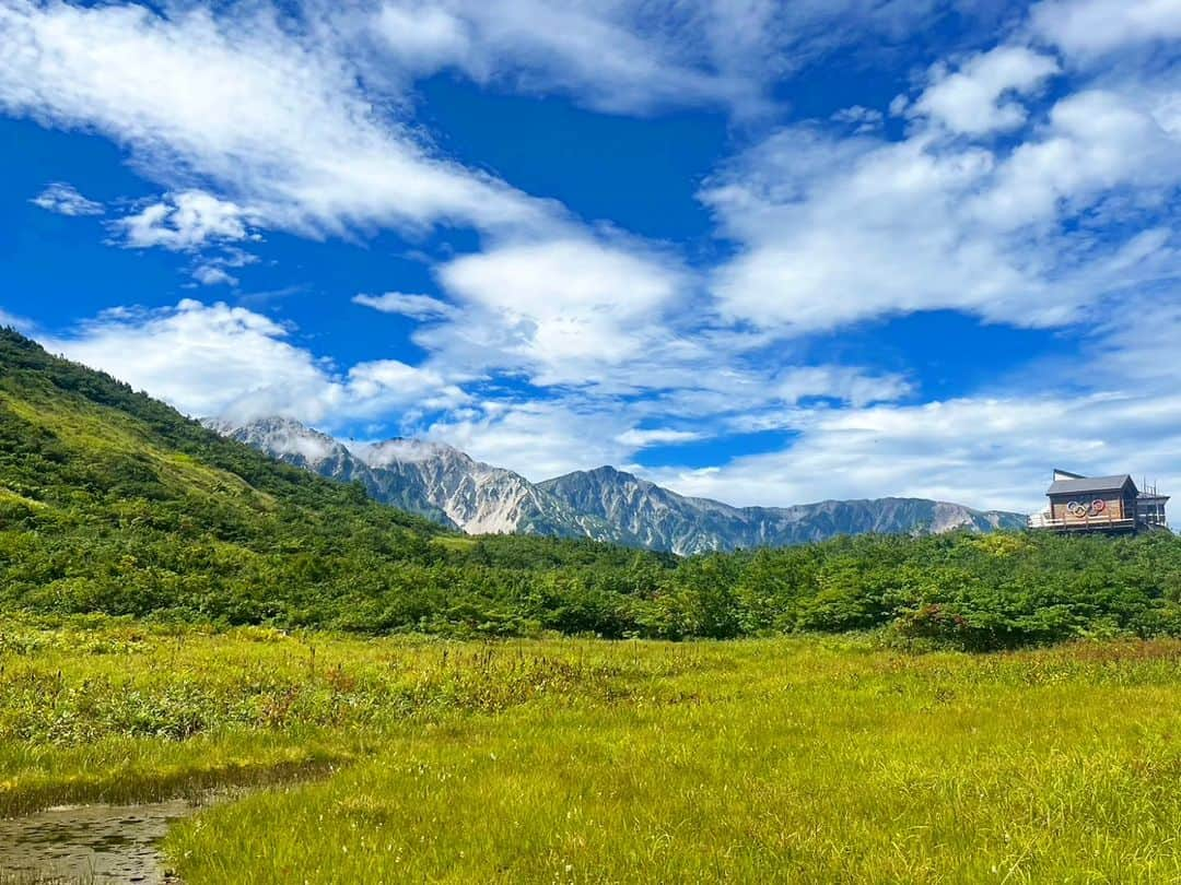 白馬八方尾根スキー場のインスタグラム：「なんだか秋っぽくなってきました🍁 今年は残暑が厳しいですが、それでも段々と朝晩は涼しくなってきました☺️  八方尾根のシーズン券料金も本日発表になりました！ どんどん冬に向かっていきますね♪  2023-24八方尾根シーズン券の詳細はこちら♪ https://www.happo-one.jp/news/29637/  #hakuba #happo #白馬 #八方尾根 #夏  #グリーンシーズン #八方池 #高山植物 #絶景 #白馬三山 #花 #かわいい #八方尾根自然研究路 #カラフル #八方アルペンライン #山 #山の日 #秋 #紅葉」