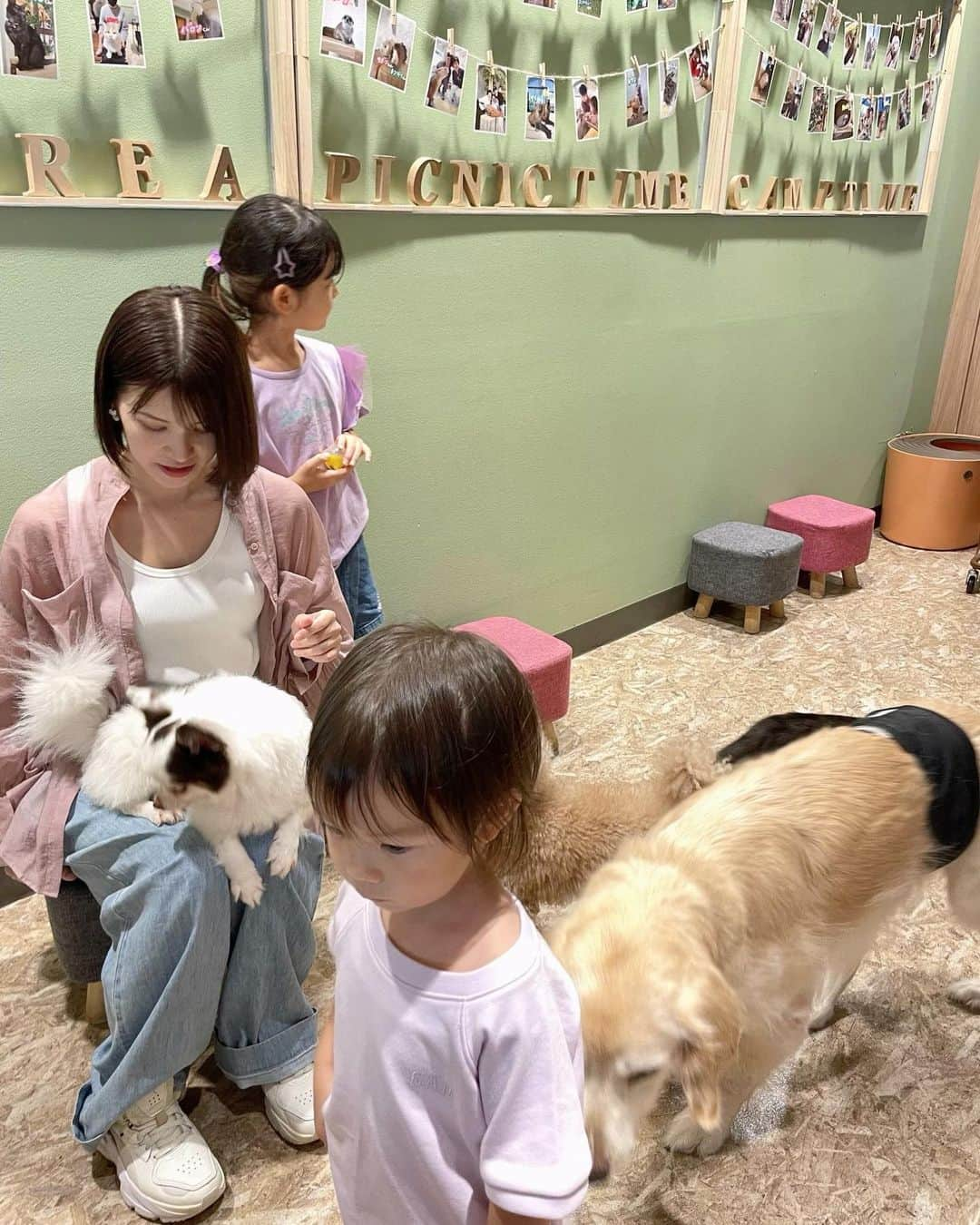 川島菜月さんのインスタグラム写真 - (川島菜月Instagram)「. . . 大きい犬はまだ怖くないんだけど 小型犬とか身軽そうなわんこが怖いことに気づいた！ . 2枚目→ ピョンと膝に乗ってきた瞬間顔が強張ってる😂😂😂 でも優しいわんこだった！ . 小学生のころ友達んちに行く前の坂で放し飼いされてた小型犬にいつも追いかけられてたんだ🤣 それを撒かないと友達んちに辿り着けなかったからいつも泣きそうになりながら走ってた🐕 そのトラウマかも。 . . . #犬　#dog #アニマルカフェ」9月1日 13時46分 - natsuki0624kia