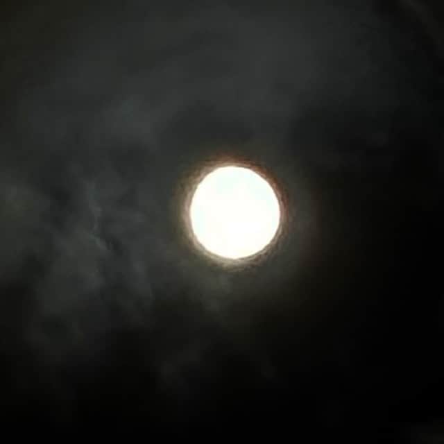 鈴木みのるさんのインスタグラム写真 - (鈴木みのるInstagram)「Super Moon  …昨夜はそうだったようで。あまりにも釣れないから夜空を見上げて月を撮った。2023夏の夜釣りはこれにて終了。シーズン3〜Autumnが始まるとか始まらないとか。今年はまだBASSに会って無い。。。なんなら去年も国内では釣ってない。。。」9月1日 14時01分 - suzuki.d.minoru