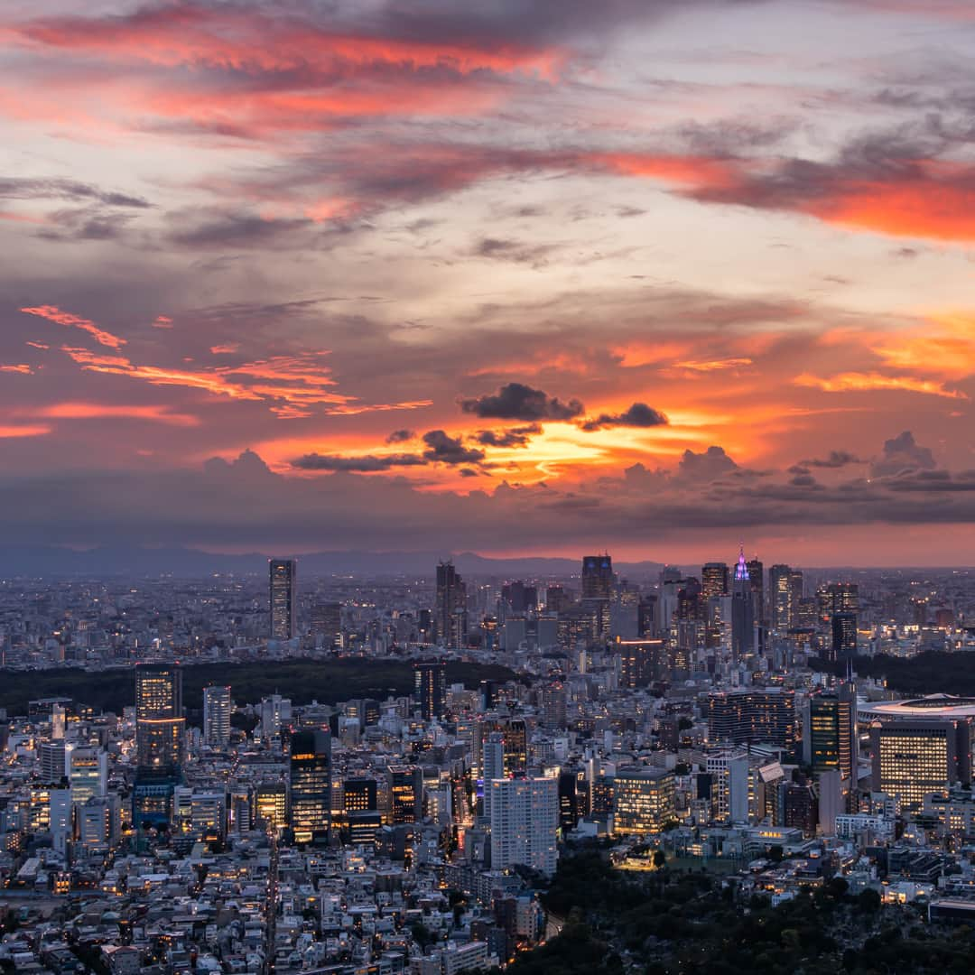 Tokyo City View 六本木ヒルズ展望台さんのインスタグラム写真 - (Tokyo City View 六本木ヒルズ展望台Instagram)「ただ今、スカイデッキは営業中！ 本日より通常の営業時間に戻ります。 ⭐11:00～20:00（最終入場 19:30）⭐ ※雨天、荒天、雷雲発生時はクローズ https://tcv.roppongihills.com/jp/  撮影：荒谷良一  #六本木ヒルズ展望台 #スカイデッキ #東京シティビュー #夕陽 #夕焼け #夕景 #展望台 #絶景 #景色 #荒谷良一 #RoppongiHillsObservation #skydeck #TokyoCityView #sunset #TCV #Tokyo #japantravel #tokyo #roppongi #RyoichiAratani #travelgram #japantrip #japan_daytime_view #japan_of_insta #bestjapanpics #tokyomuseum #artoftheday」9月1日 14時02分 - tokyocityview