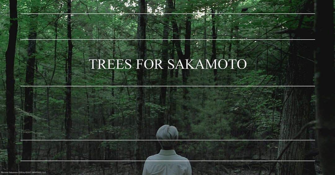 坂本龍一のインスタグラム：「re-post🌳@trees_for_skmt TREES FOR SAKAMOTO is accepting donations.  Please find out more via link in bio. 　　 TREES FOR SAKAMOTO has begun accepting donations. The following five regions have been selected for the first round: Pontal, a forested area on the Atlantic coast of Brazil. Tengger Desert in the Inner Mongolia Autonomous Region in China. Butiama Hills in Mara, Tanzania. Yusuhara in Kochi Prefecture, Japan. East Kalimantan province in Indonesia. 　 Donations can be made starting from a single tree in any of these areas. TREES FOR SAKAMOTO will continue to follow in the footsteps of Ryuichi Sakamoto and work diligently towards preserving the forests. 　　 ------- 　　 《TREES FOR SAKAMOTO》寄附開始 　　 《TREES FOR SAKAMOTO》は寄付の受付を開始いたします。 第一弾の寄付先として、以下の5つの地域を選定いたしました： ブラジルの大西洋岸にある森林地帯、ポンタウ 中国・内モンゴル自治区、テンゲル砂漠 タンザニア・マラ州、ブティアマ丘陵 日本・高知県、梼原町 インドネシア、東カリマンタン州 どの地域も木1本から寄付していただけます。 《TREES FOR SAKAMOTO》は、坂本龍一の思いを継ぎ、森の保全に尽力していきます。 　　 ーーーー 　　 “TREES FOR SAKAMOTO”将开始接受捐赠。 作为第一批捐赠地点,我们选择了以下5个地区。 巴西大西洋沿岸的森林地区,蓬塔尔。 中国内蒙古自治区,腾格里沙漠。 坦桑尼亚马拉州,布蒂亚马丘陵。 日本高知县,梼原町。 印度尼西亚,东加里曼丹省。 上述地区的捐赠都可以从一棵树开始。 “TREES FOR SAKAMOTO”将继承坂本龙一的愿景,为森林保护贡献力量。 　　  #trees4skmt #坂本龍一 #skmtnews #ryuichisakamoto #moretrees @trees_for_skmt  @moretrees_jp」